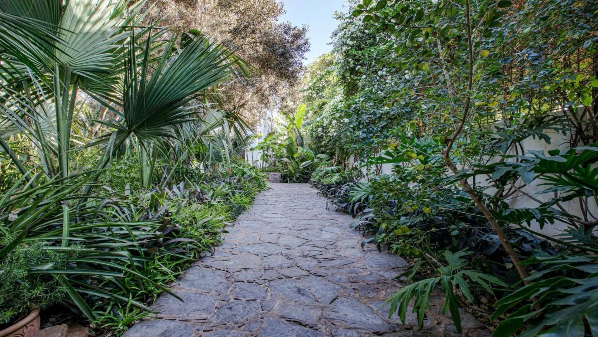 Garden in Le Riad Villa Blanche