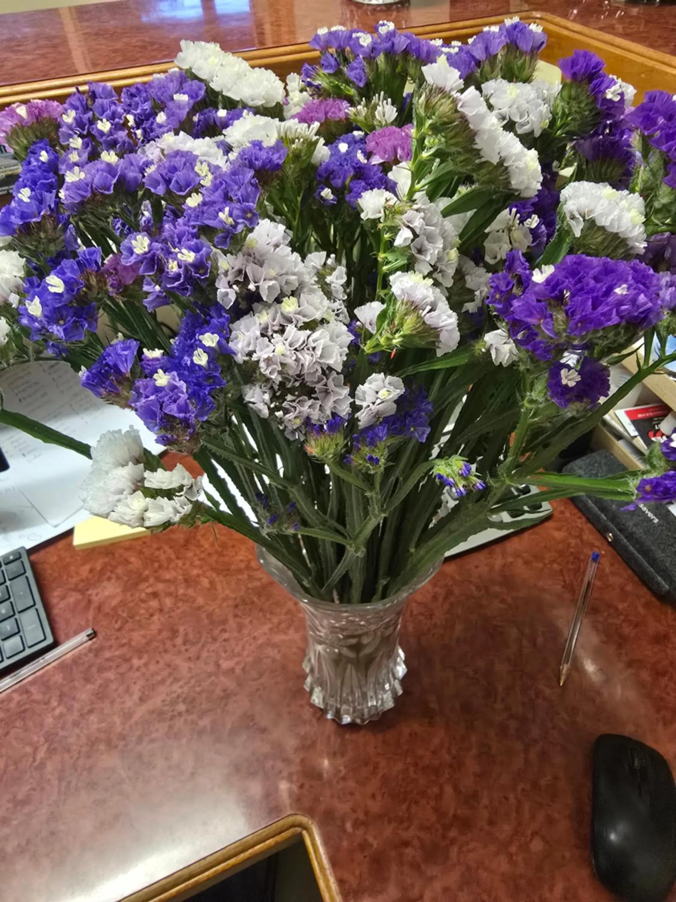 Property building in Crows Nest Motel