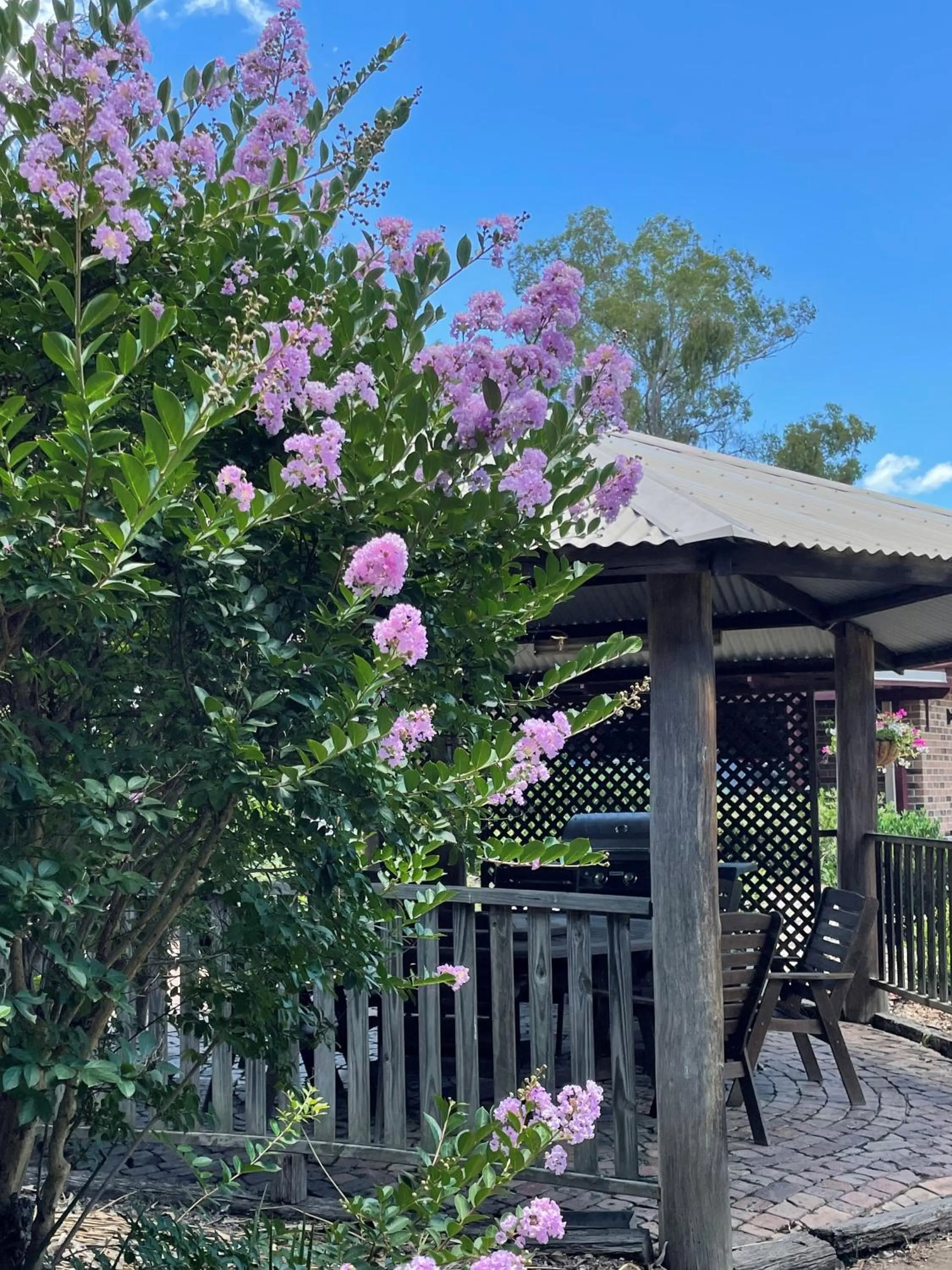 BBQ facilities in Crows Nest Motel