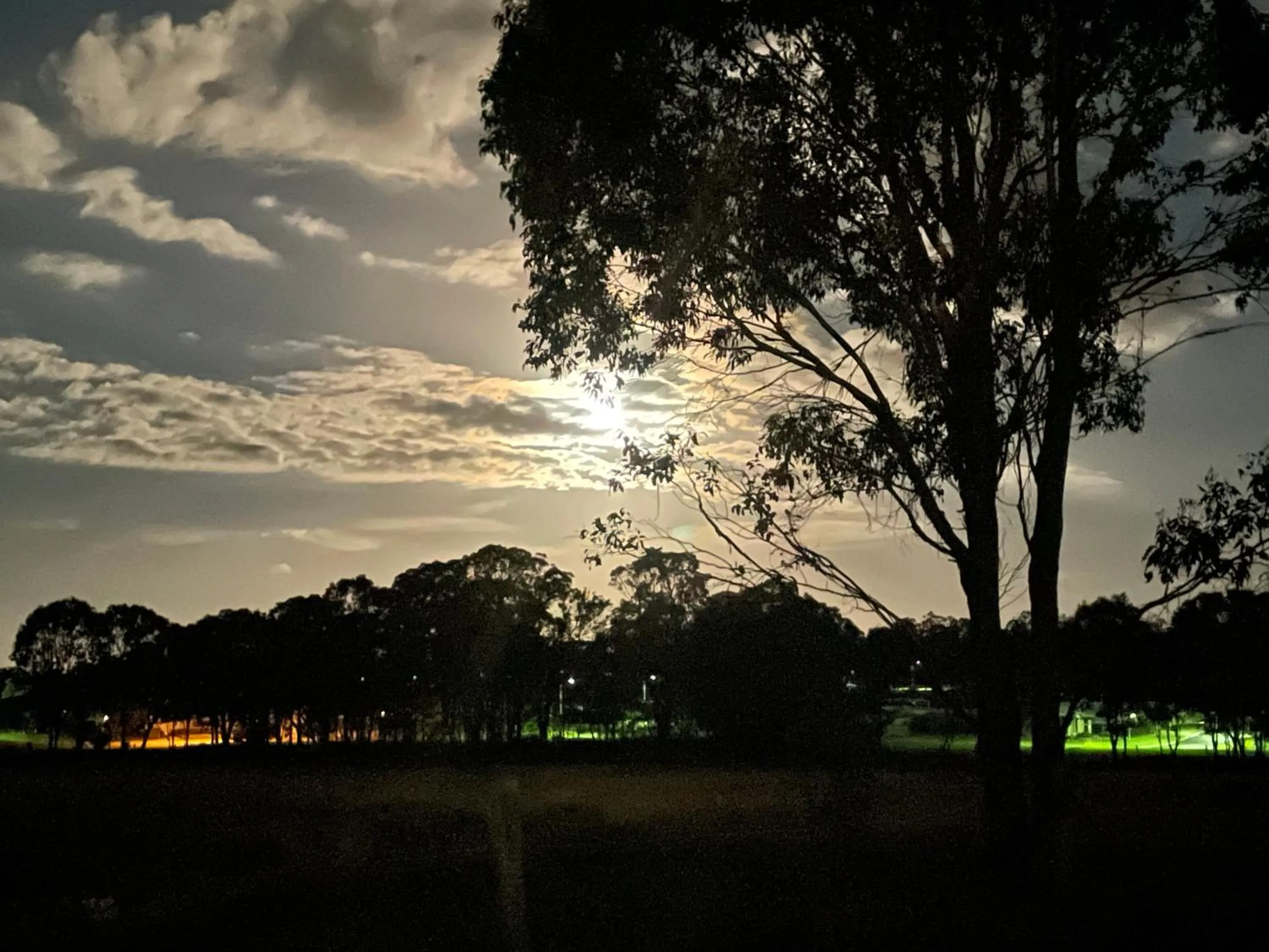 View (from property/room) in Crows Nest Motel