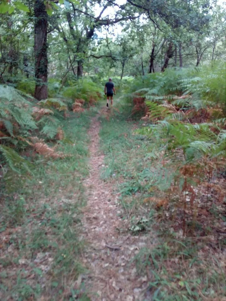 View (from property/room) in B&B Les Quatre Vents