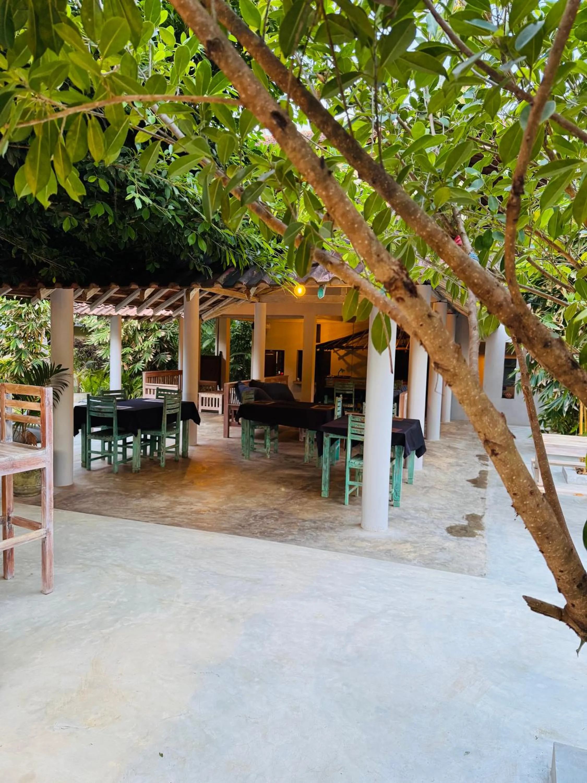 Restaurant/places to eat in Green turtle