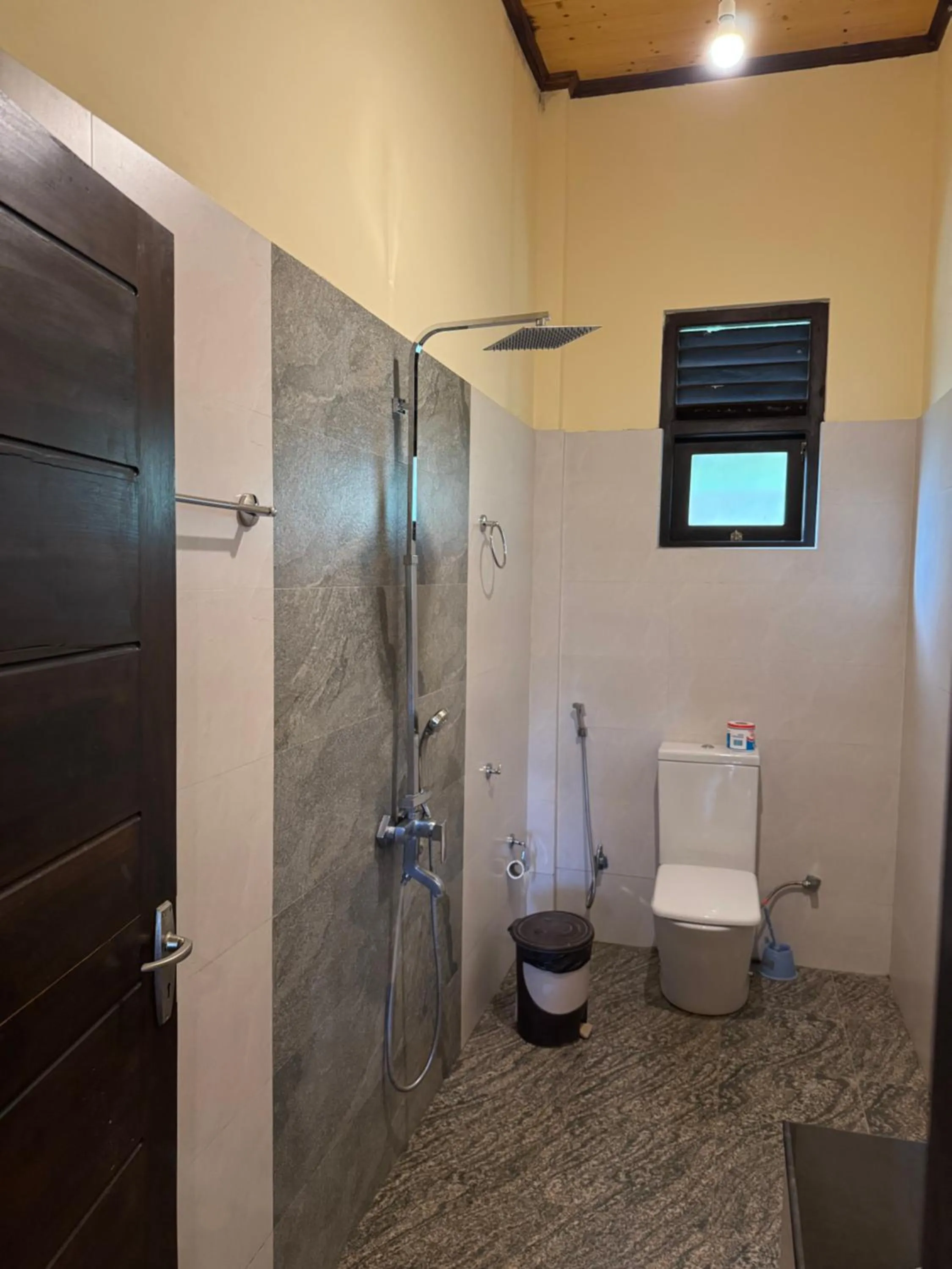 Shower in Green turtle