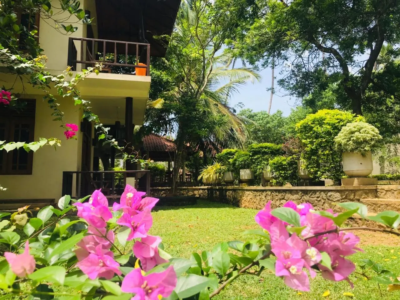 Garden in Green turtle