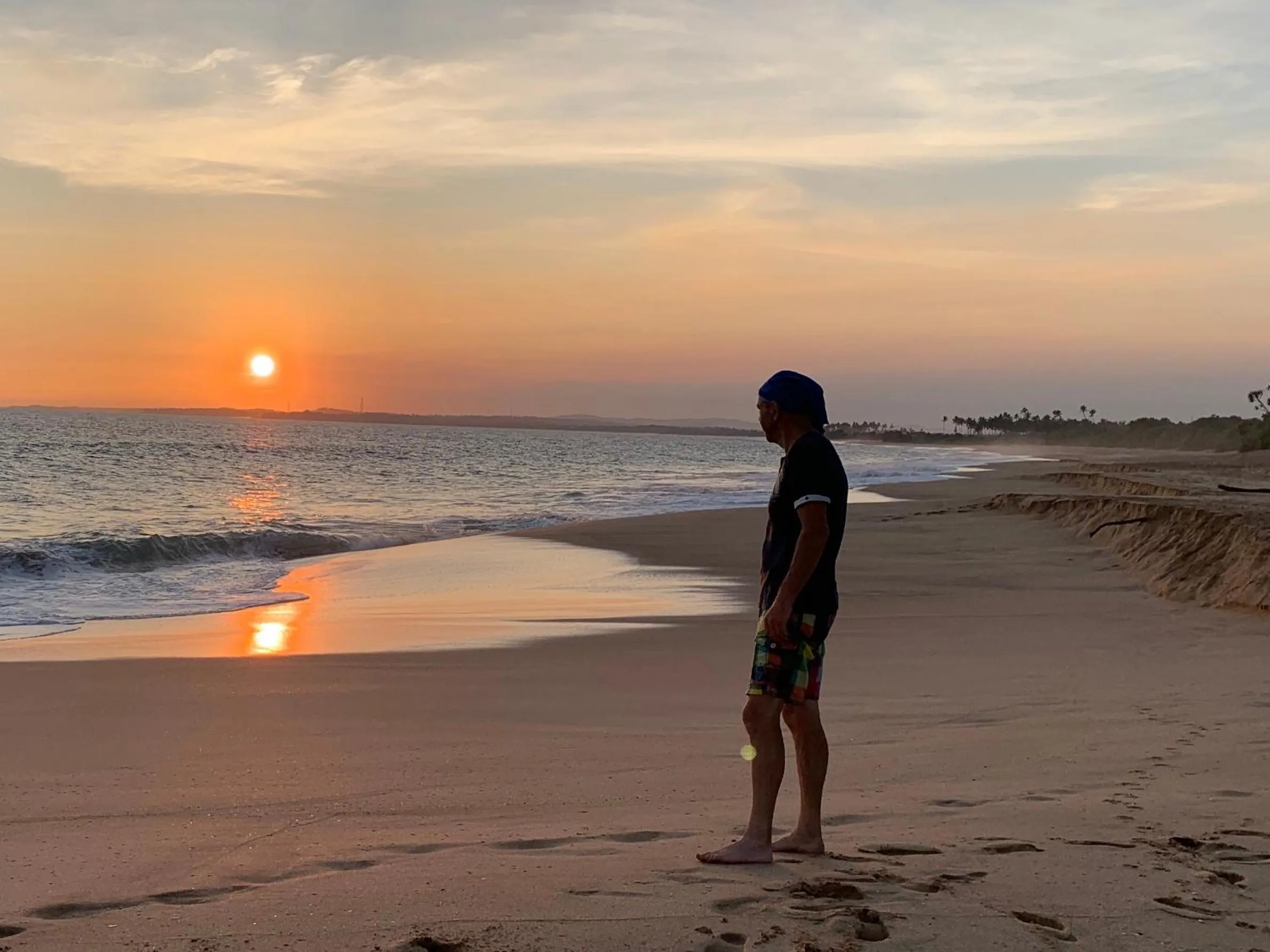 Location in Green turtle