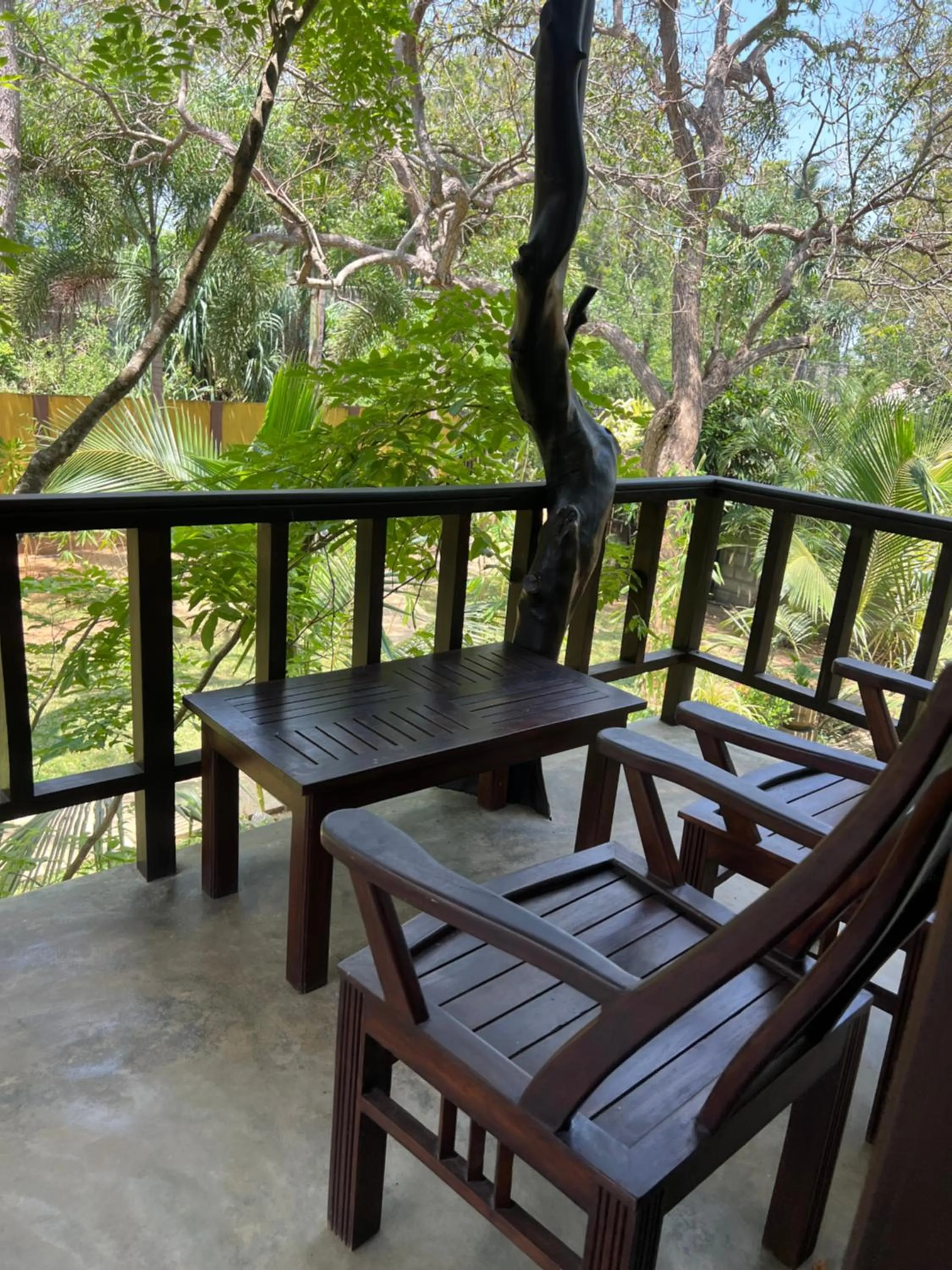 Balcony/Terrace in Green turtle