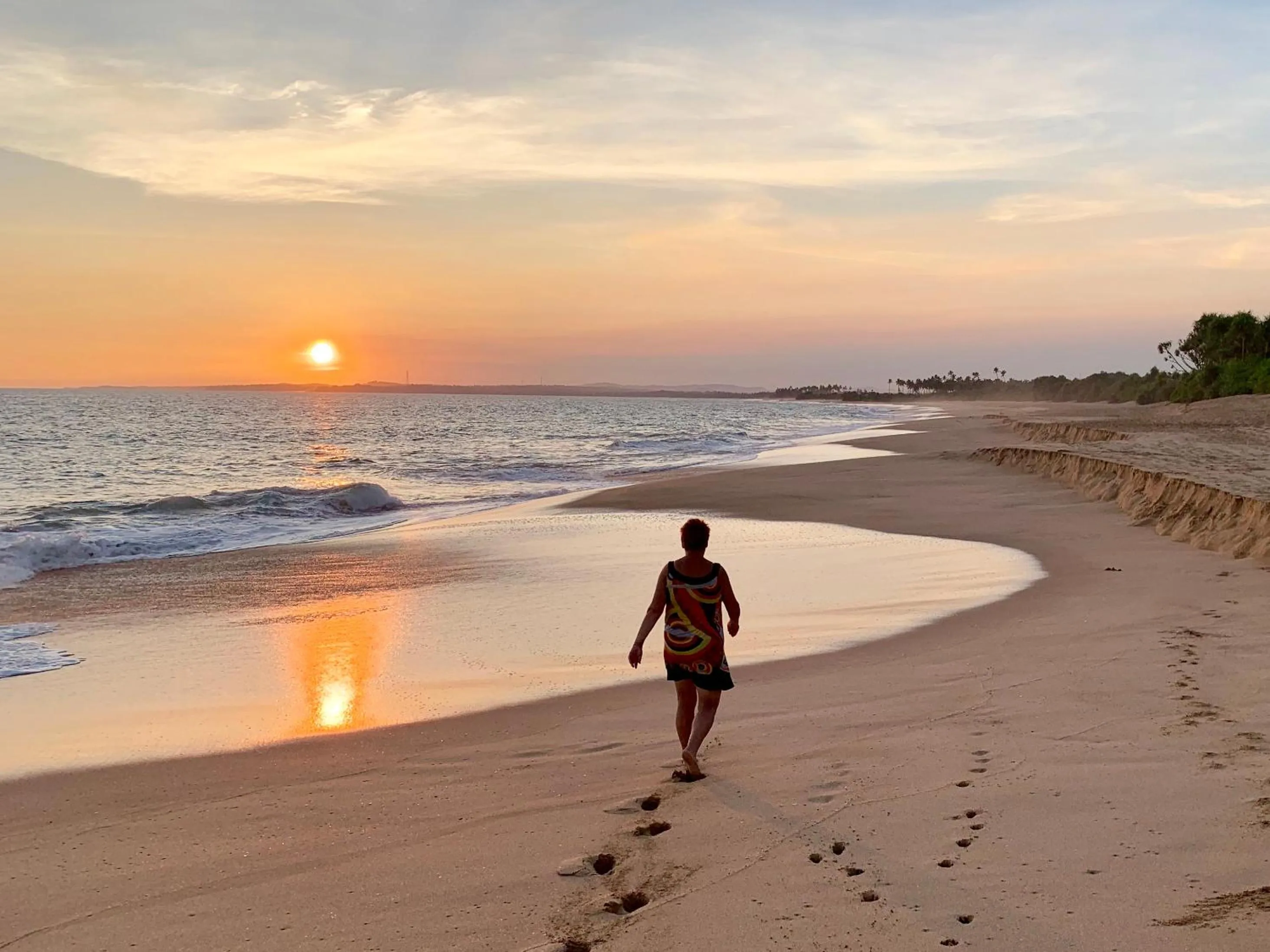 Beach in Green turtle
