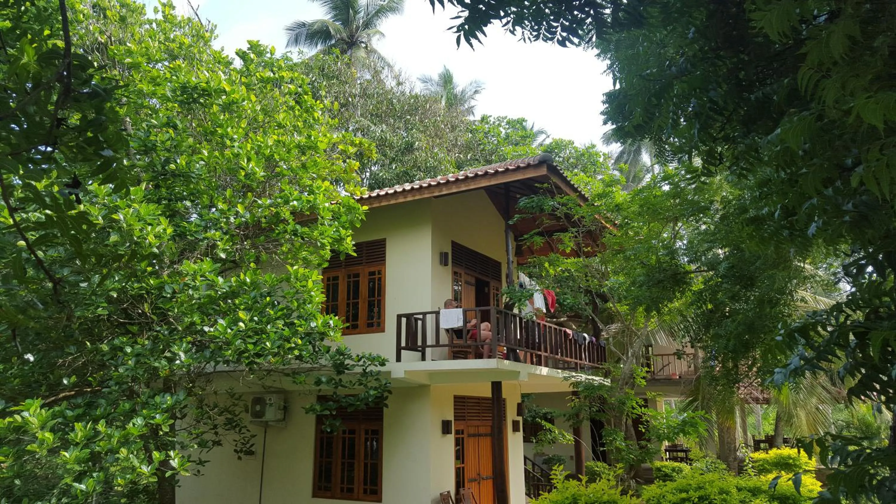 Other in Green turtle