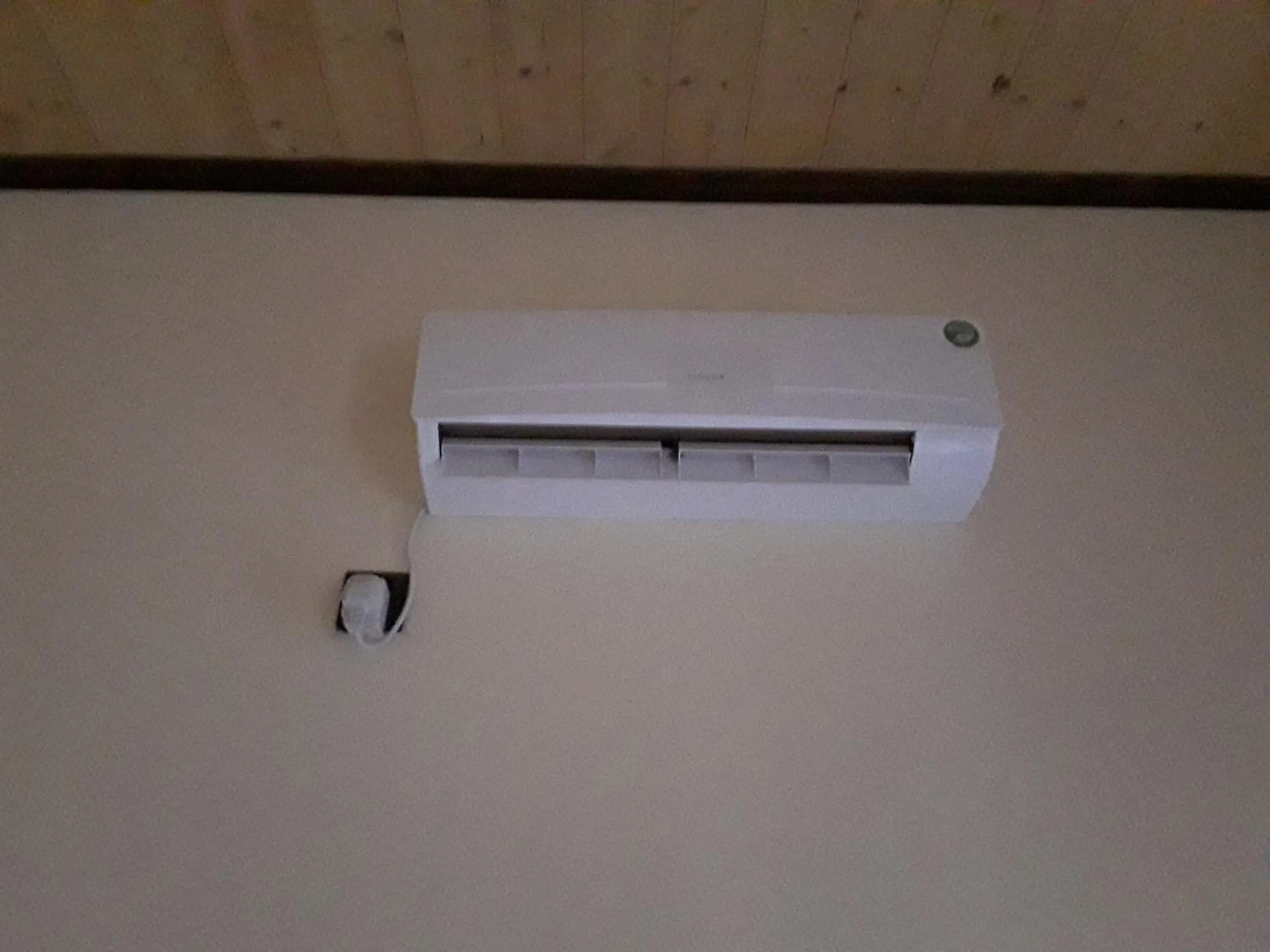 Area and facilities in Green turtle