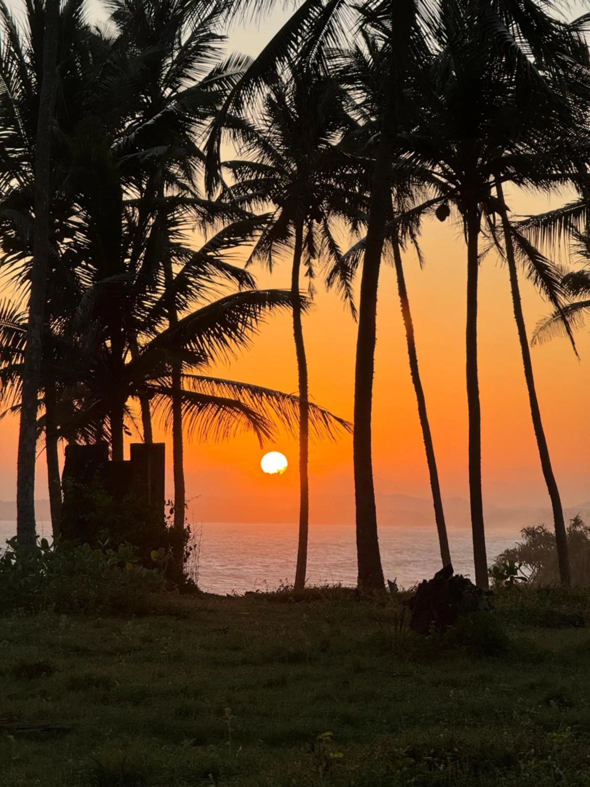Sunset in Green turtle