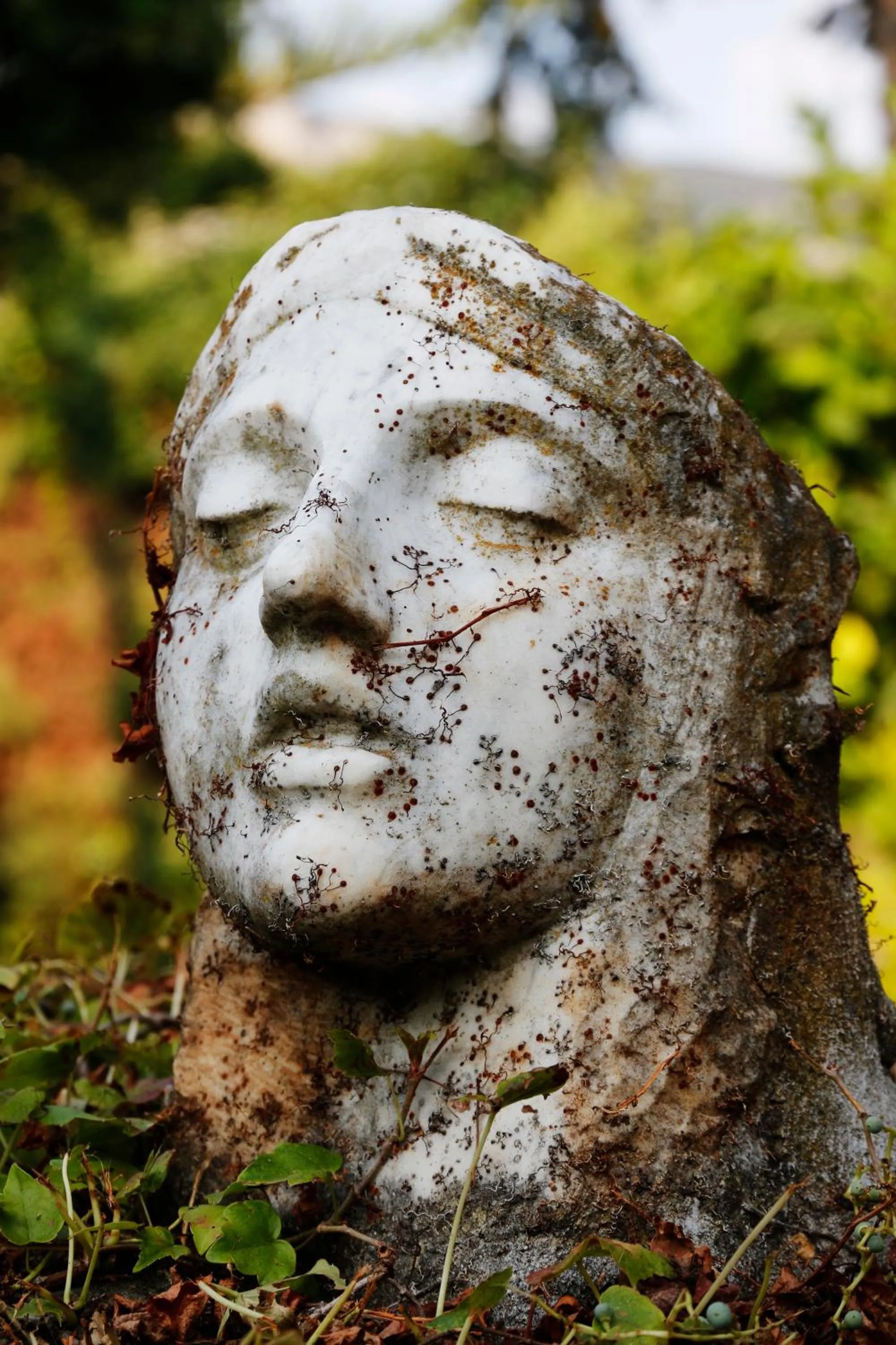 Garden in Residenza Giancesare Family Apartments