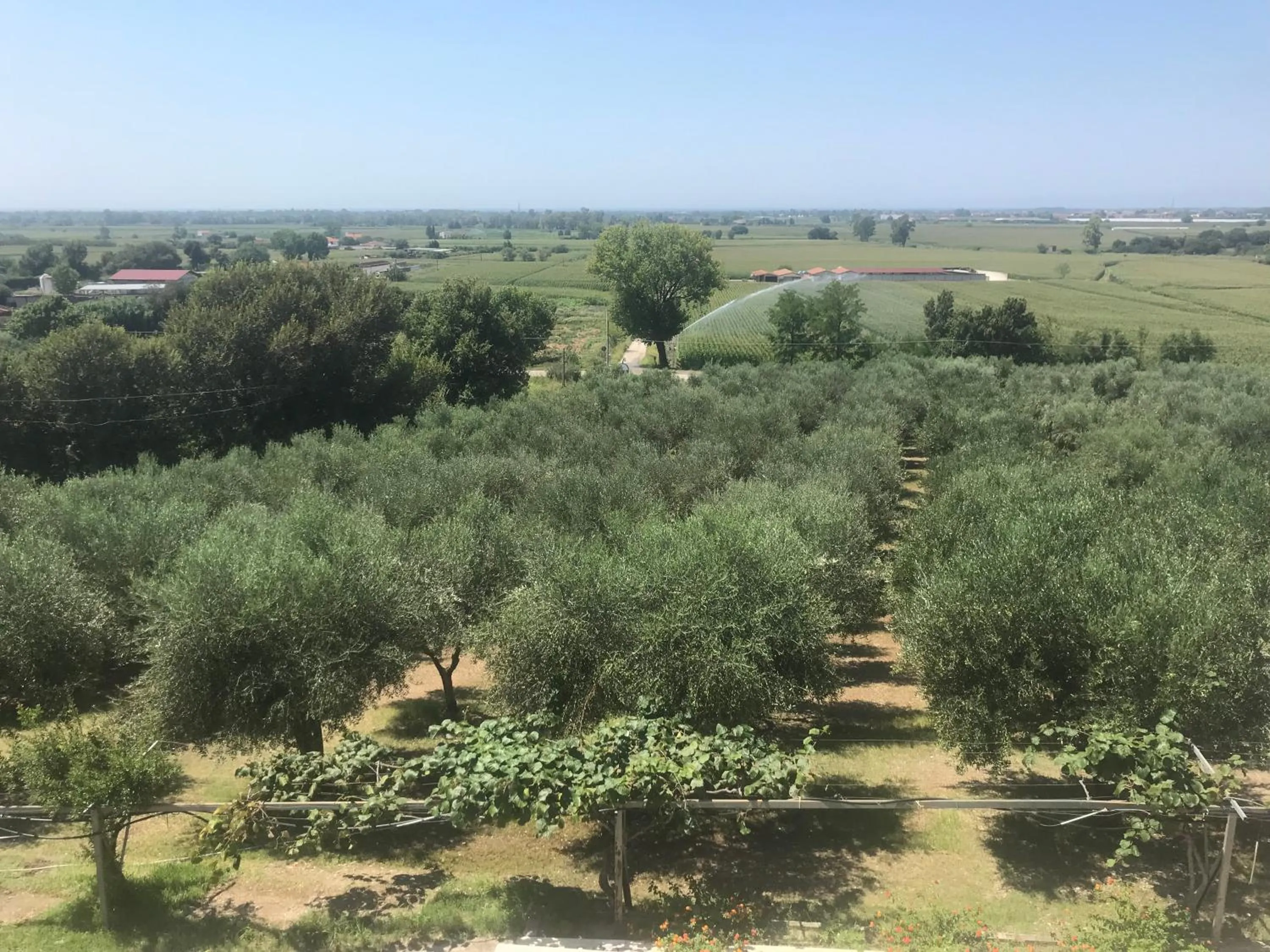 View (from property/room) in Residenza Giancesare Family Apartments