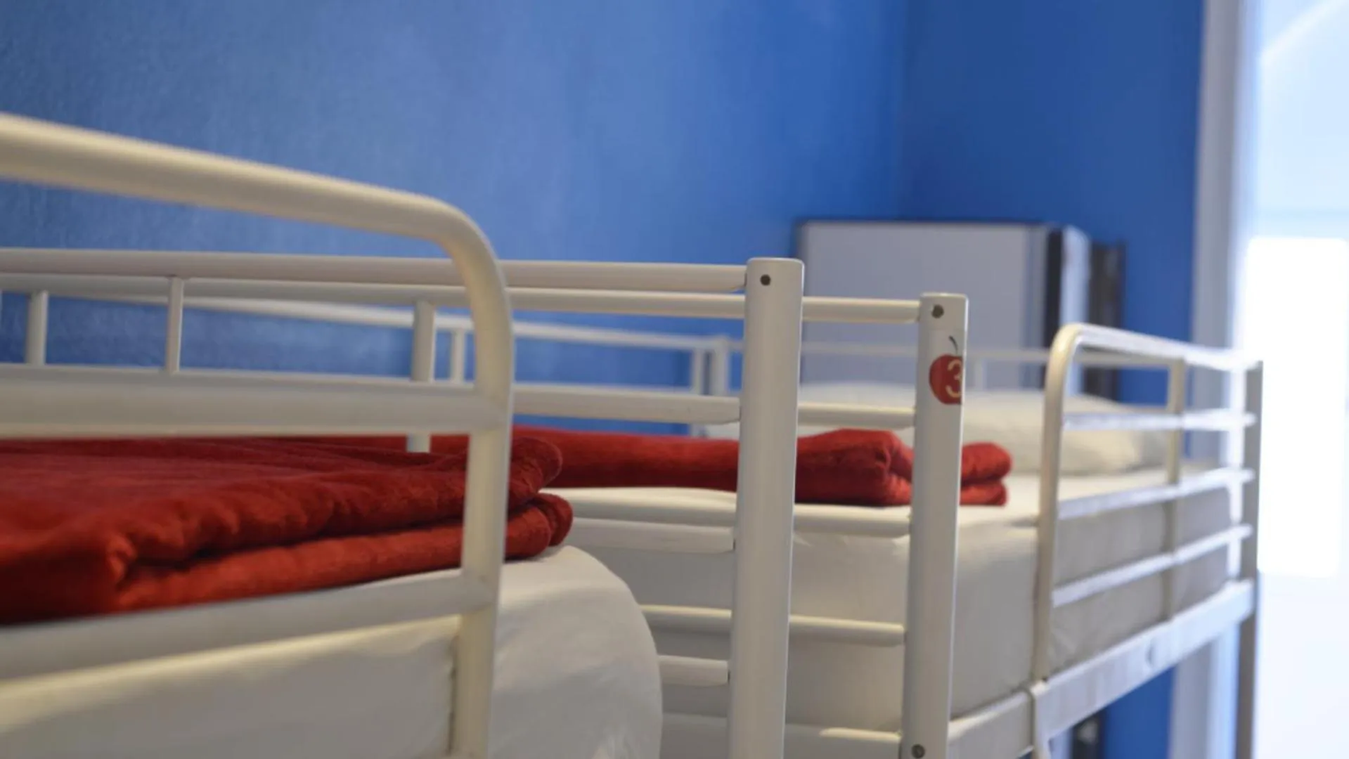 Bed in Paraiso Hostel