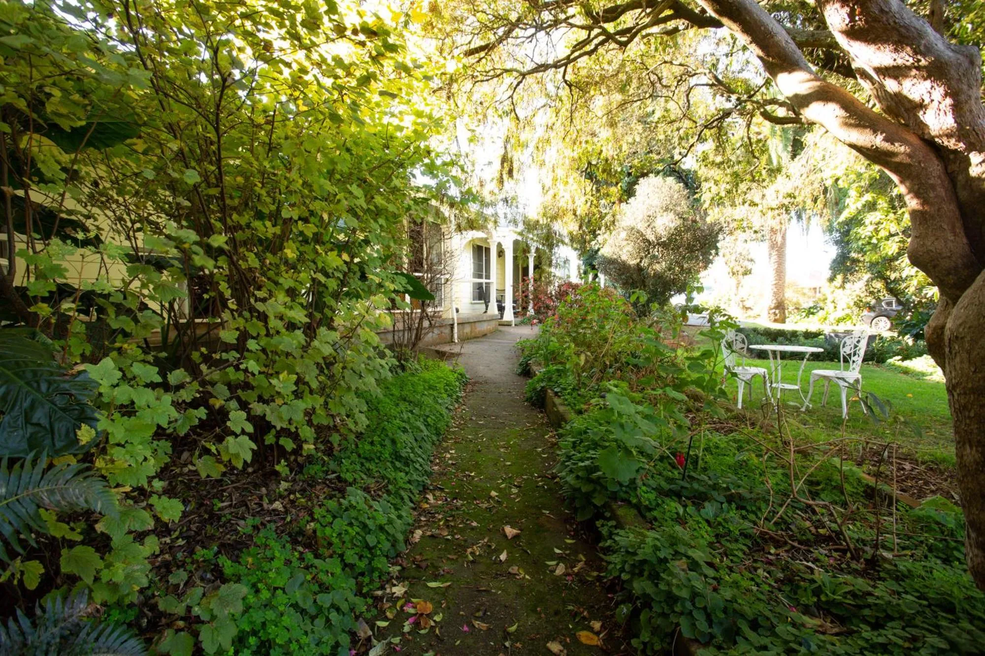 Garden in Anabel's of Scottsdale