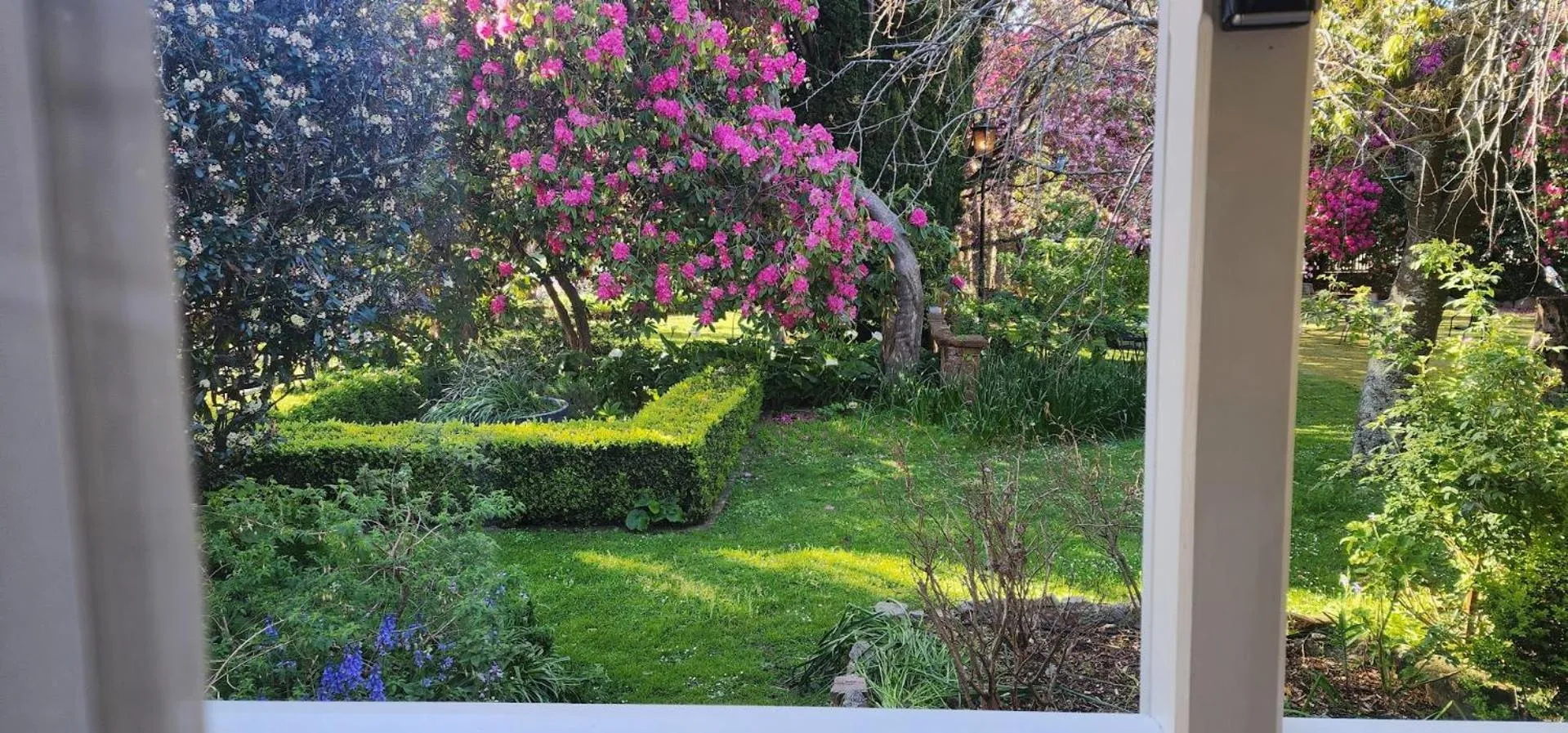 Garden in Anabel's of Scottsdale