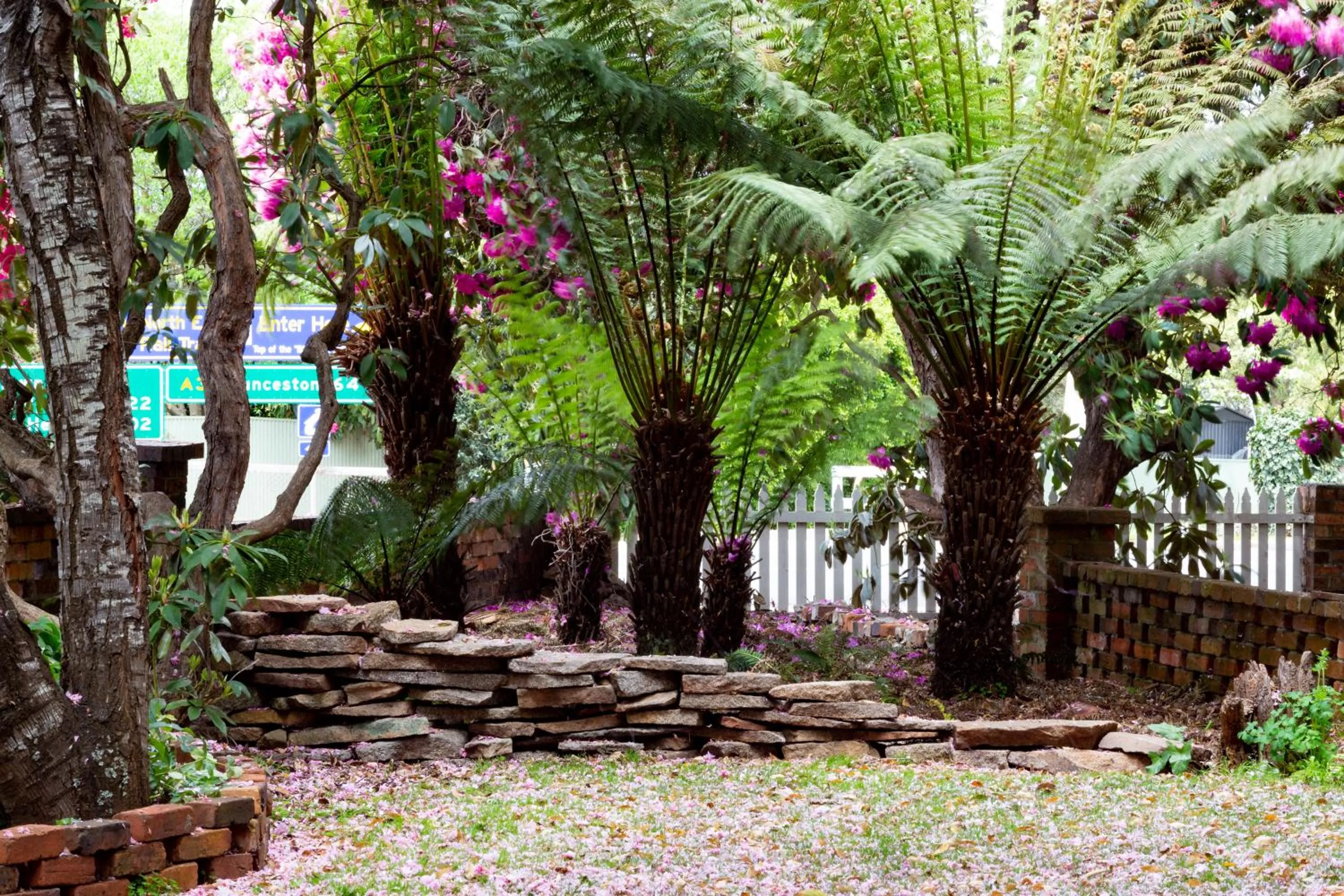 Garden in Anabel's of Scottsdale