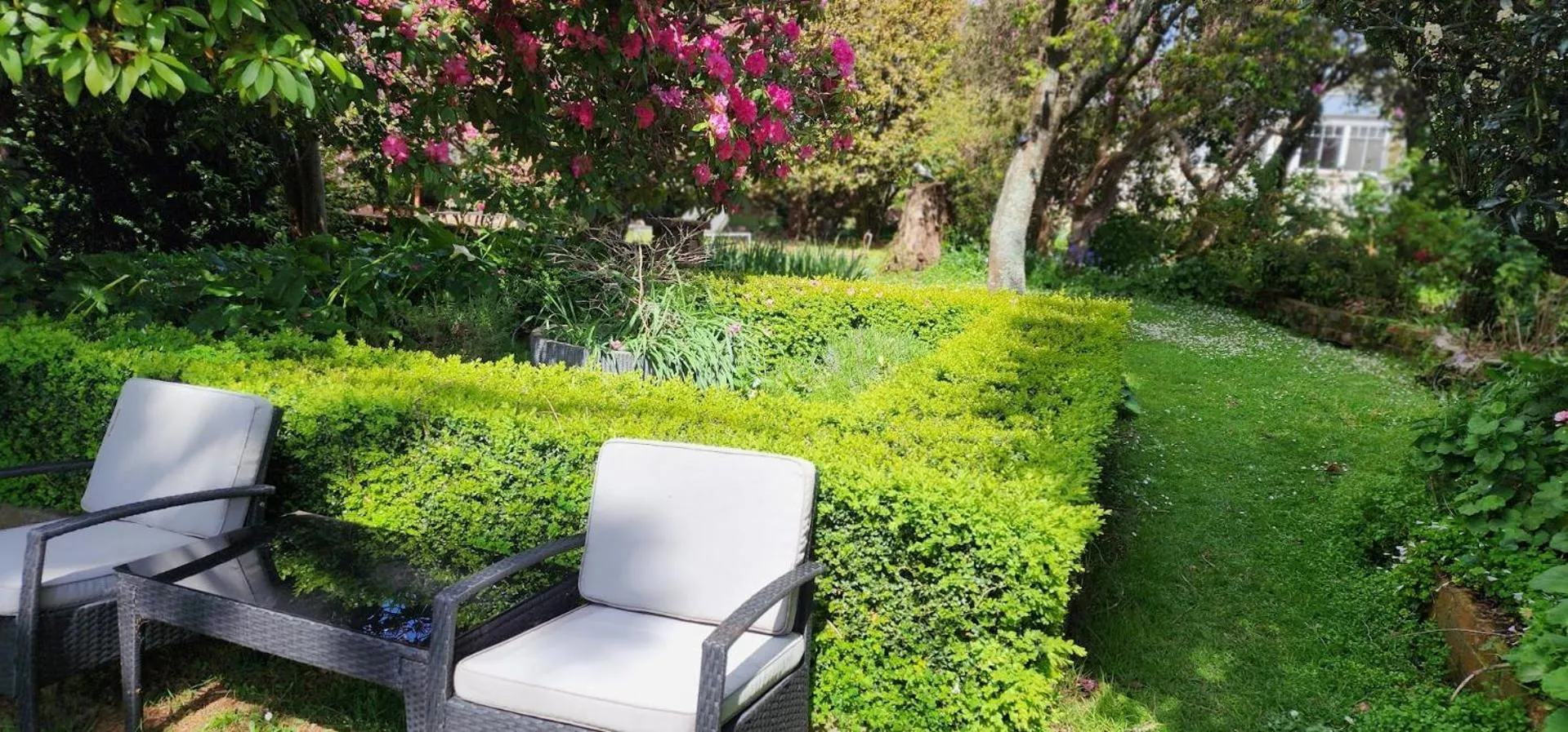 Garden in Anabel's of Scottsdale