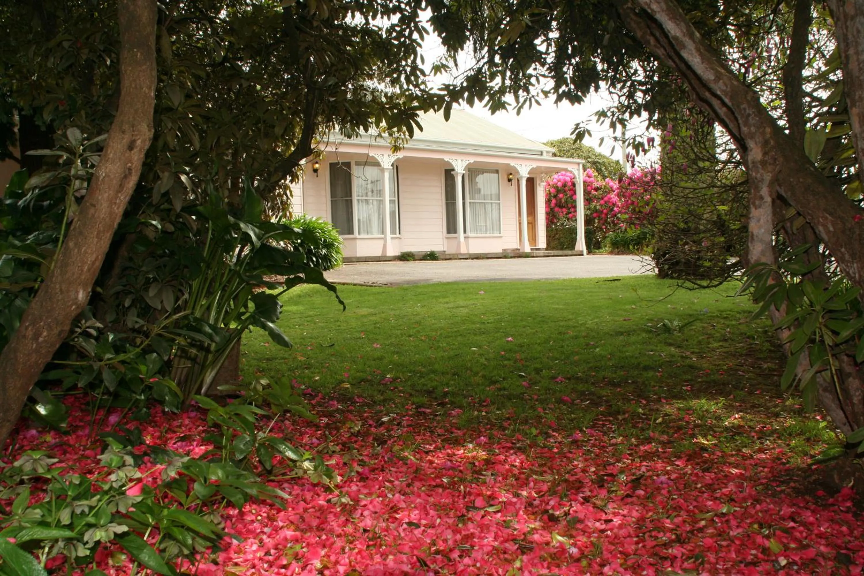 Garden in Anabel's of Scottsdale