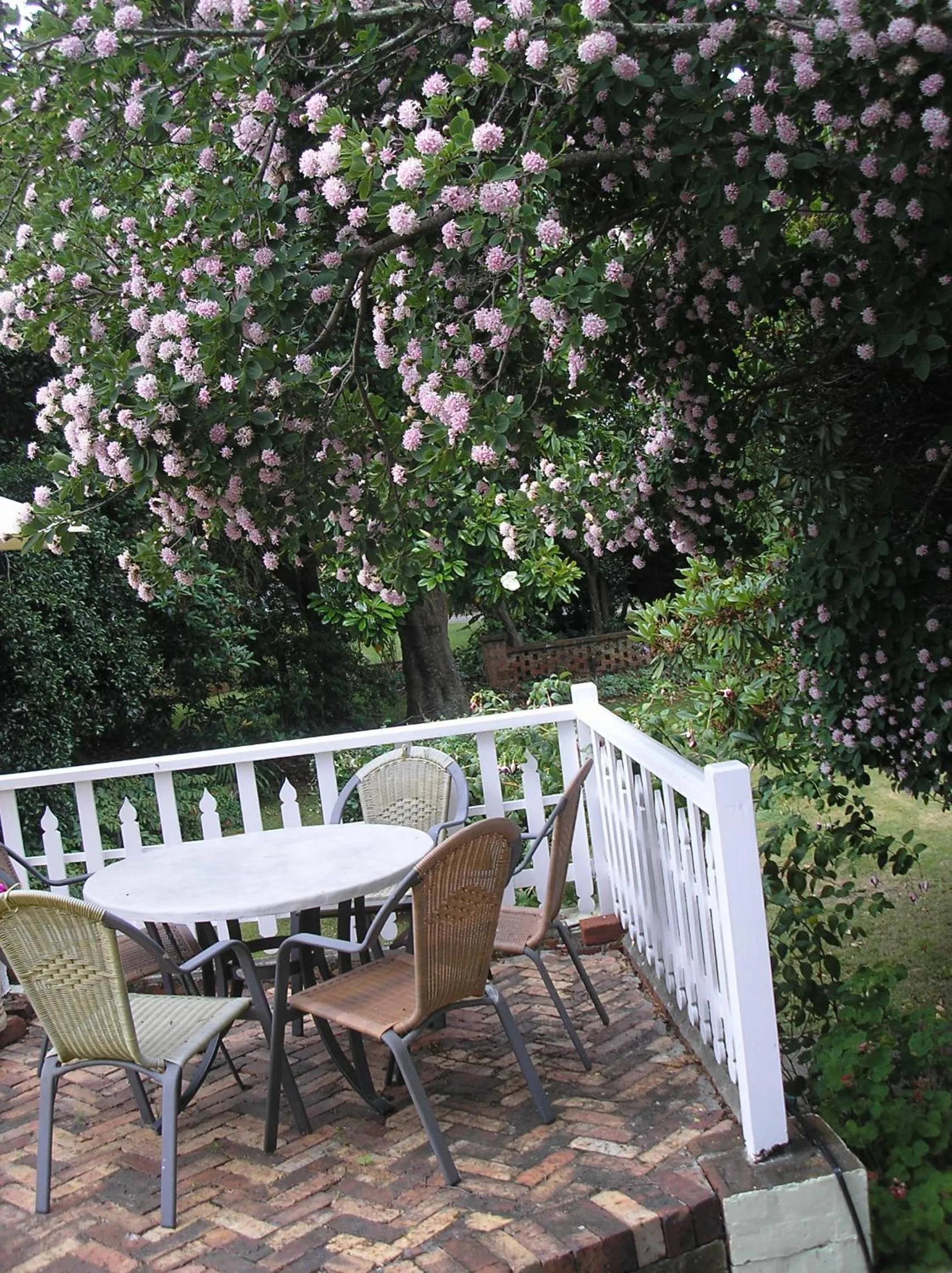 Balcony/Terrace in Anabel's of Scottsdale