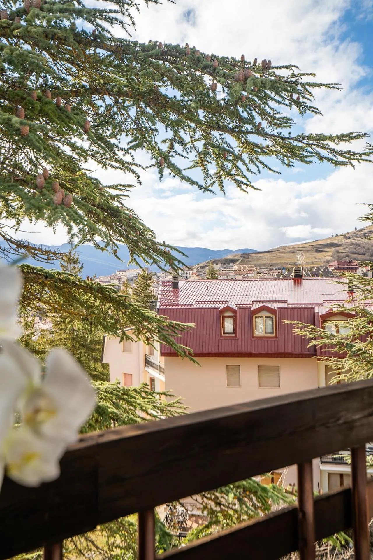 Balcony/Terrace in Cipriani Park Hotel