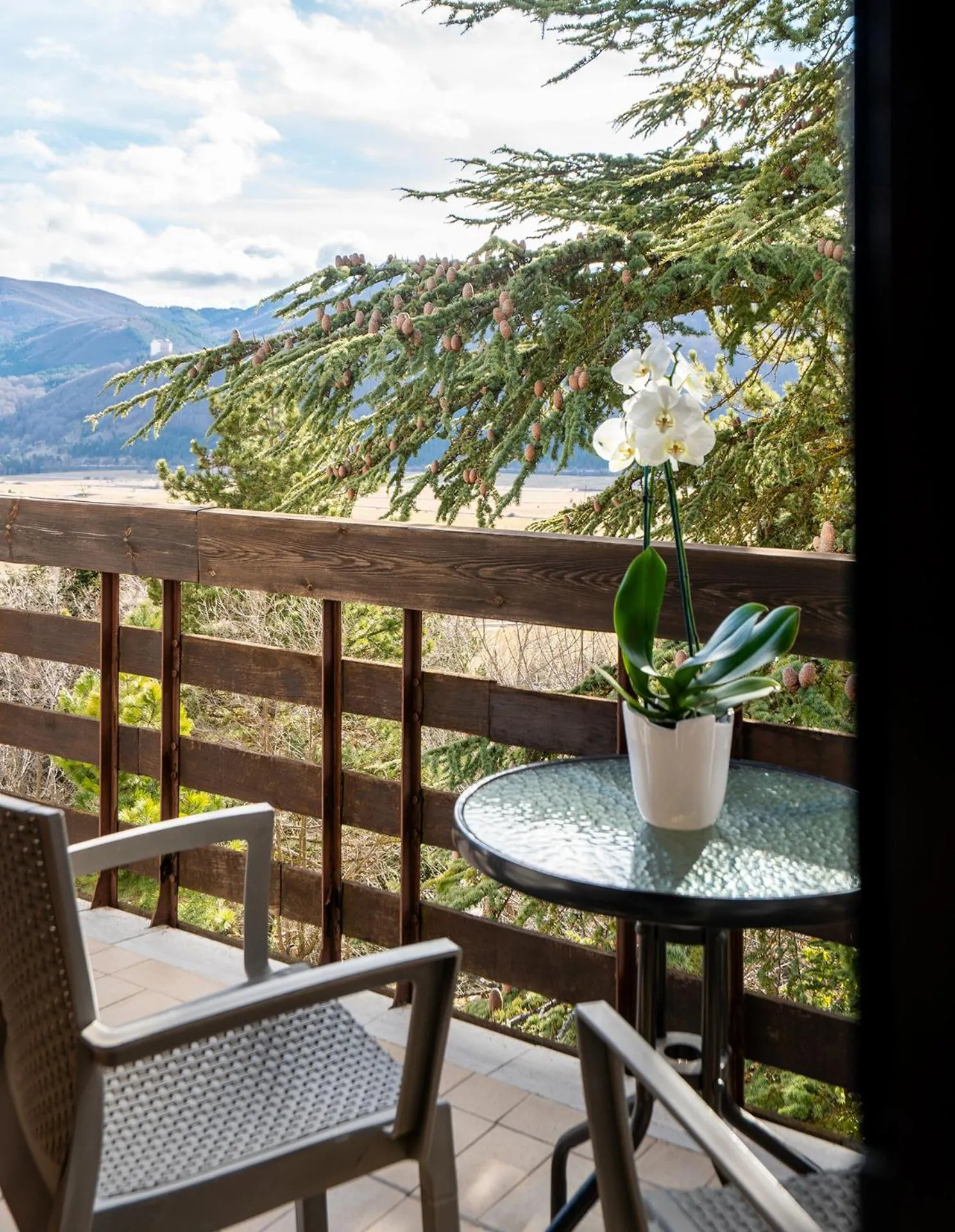Balcony/Terrace in Cipriani Park Hotel