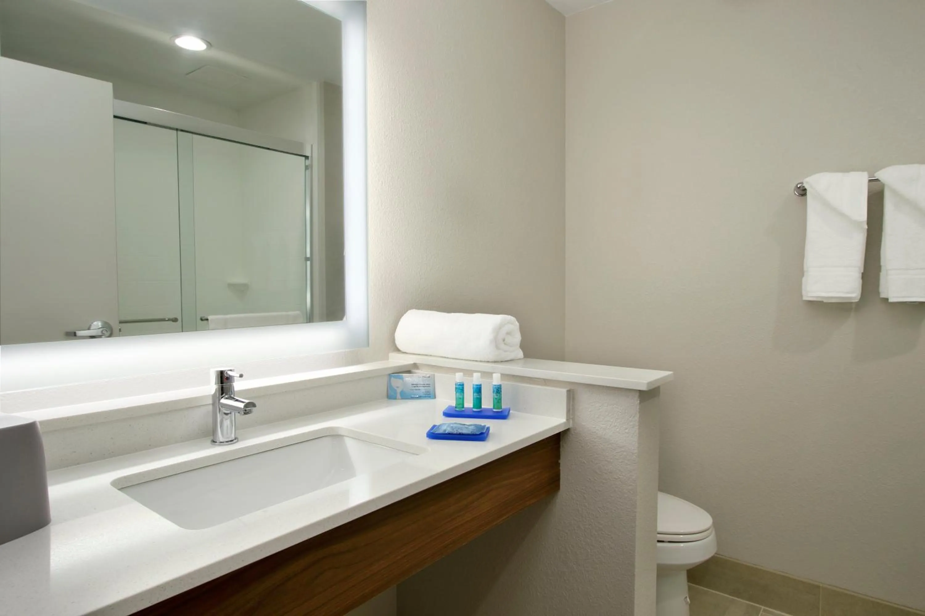Bathroom in Holiday Inn Express & Suites Columbus North by IHG