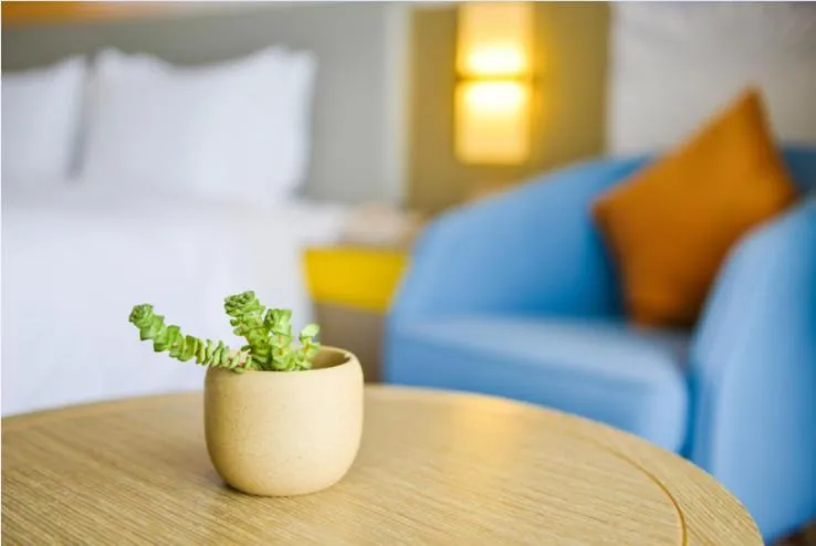 Seating Area in Holiday Inn Express Lhasa Potala Palace