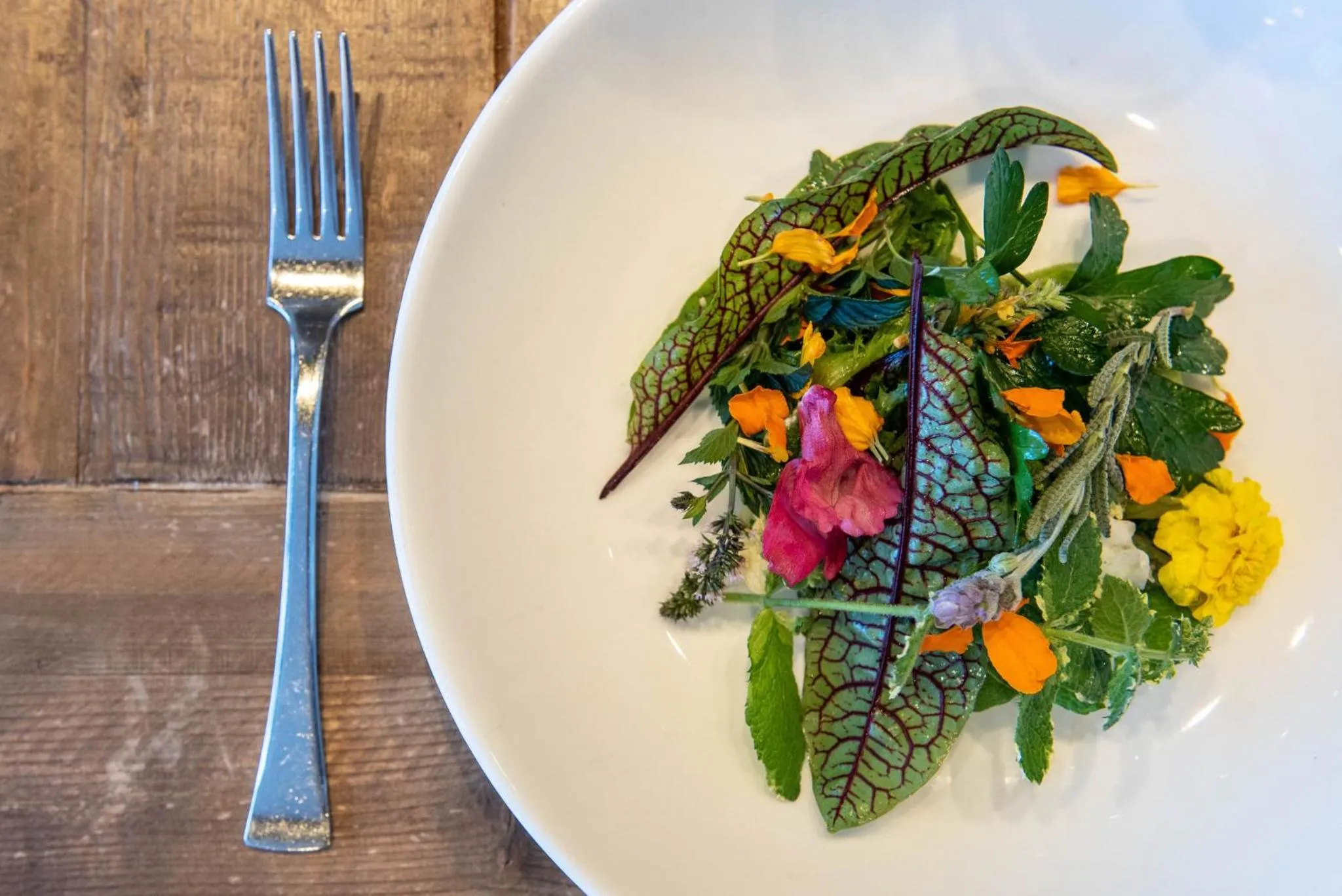 Restaurant/places to eat in InterContinental Minneapolis - St. Paul Airport by IHG