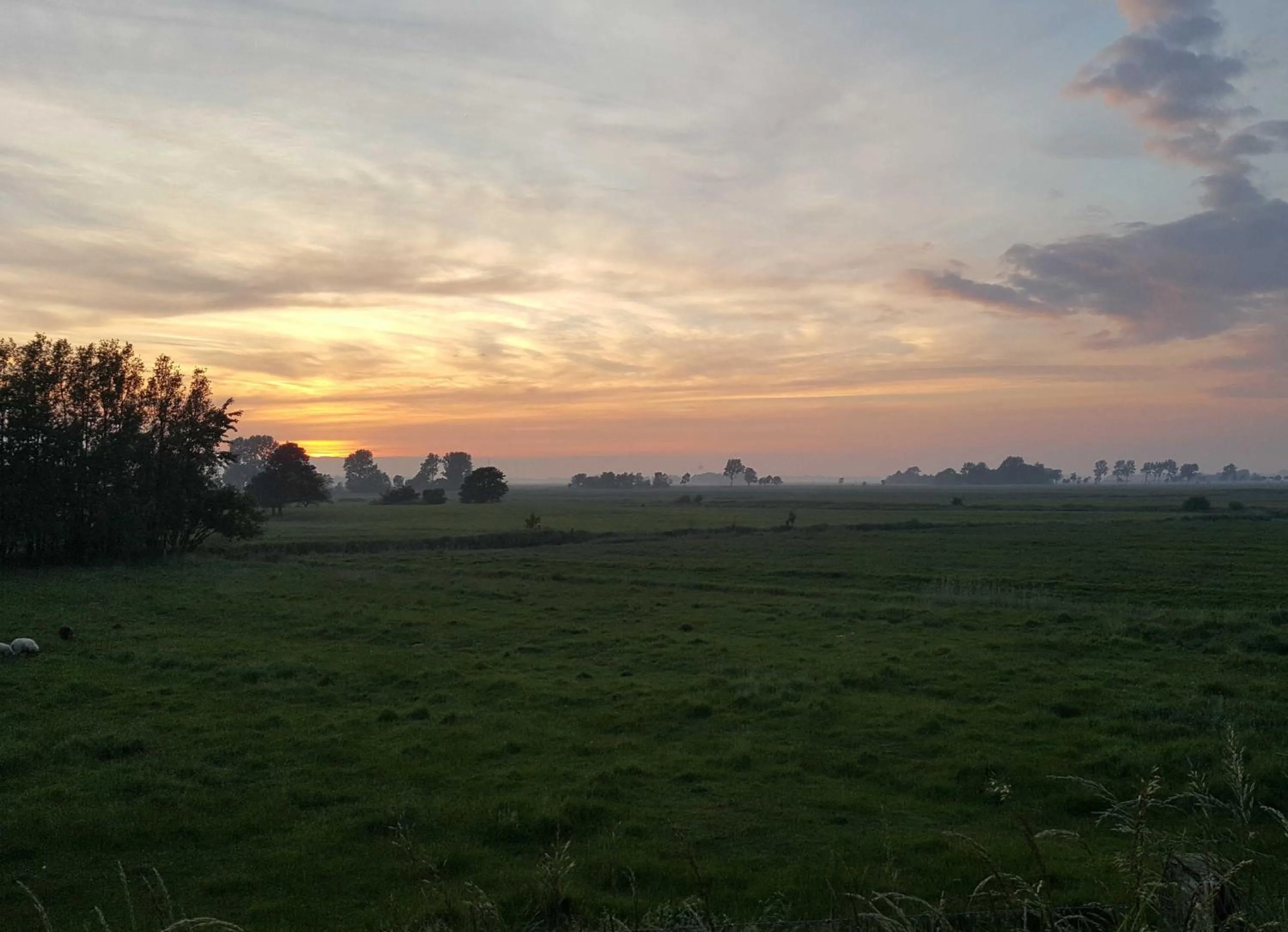 Seewolke Nr1 Nr2 Nr3 Katingsiel be