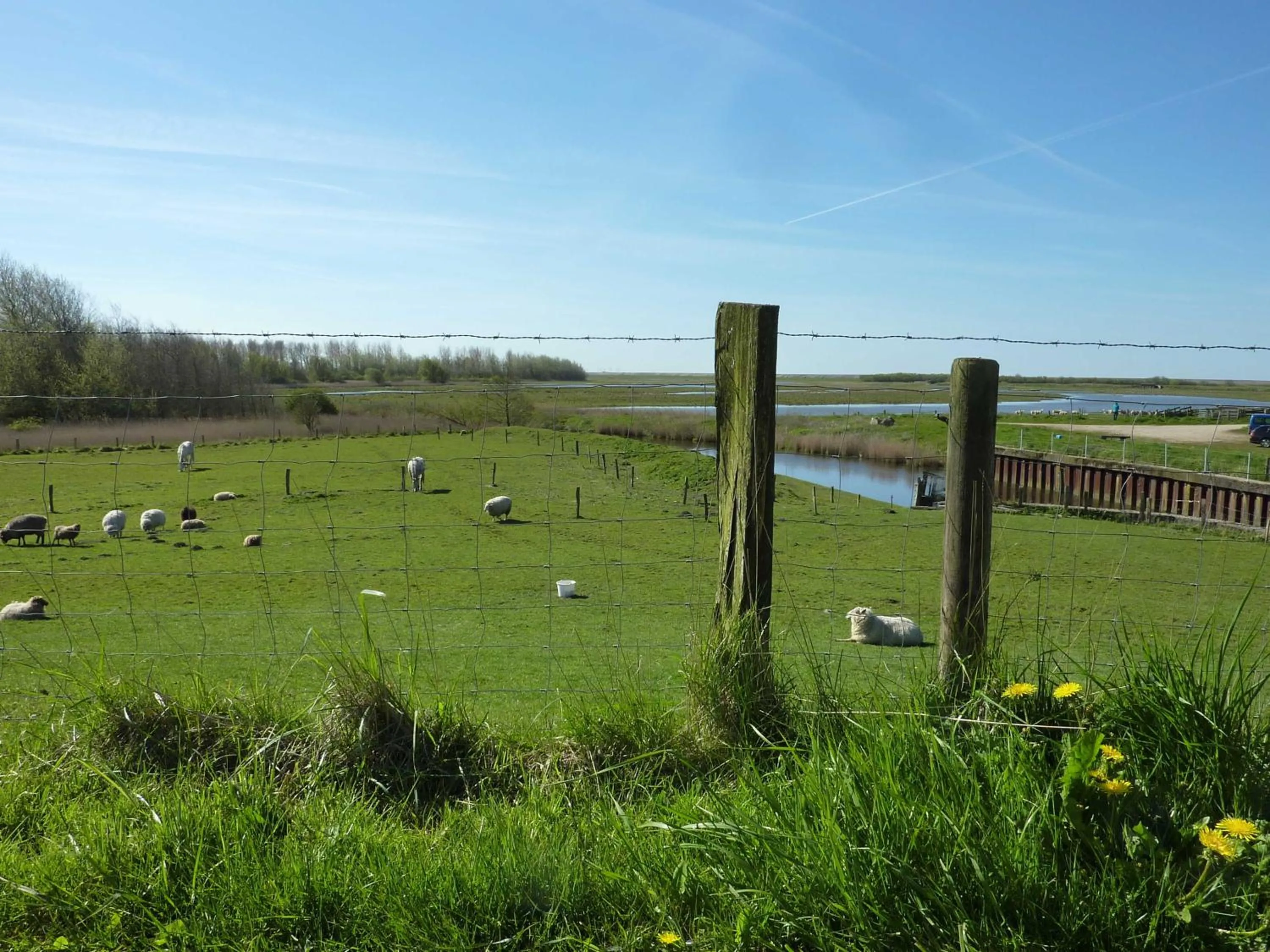 Seewolke Nr1 Nr2 Nr3 Katingsiel be