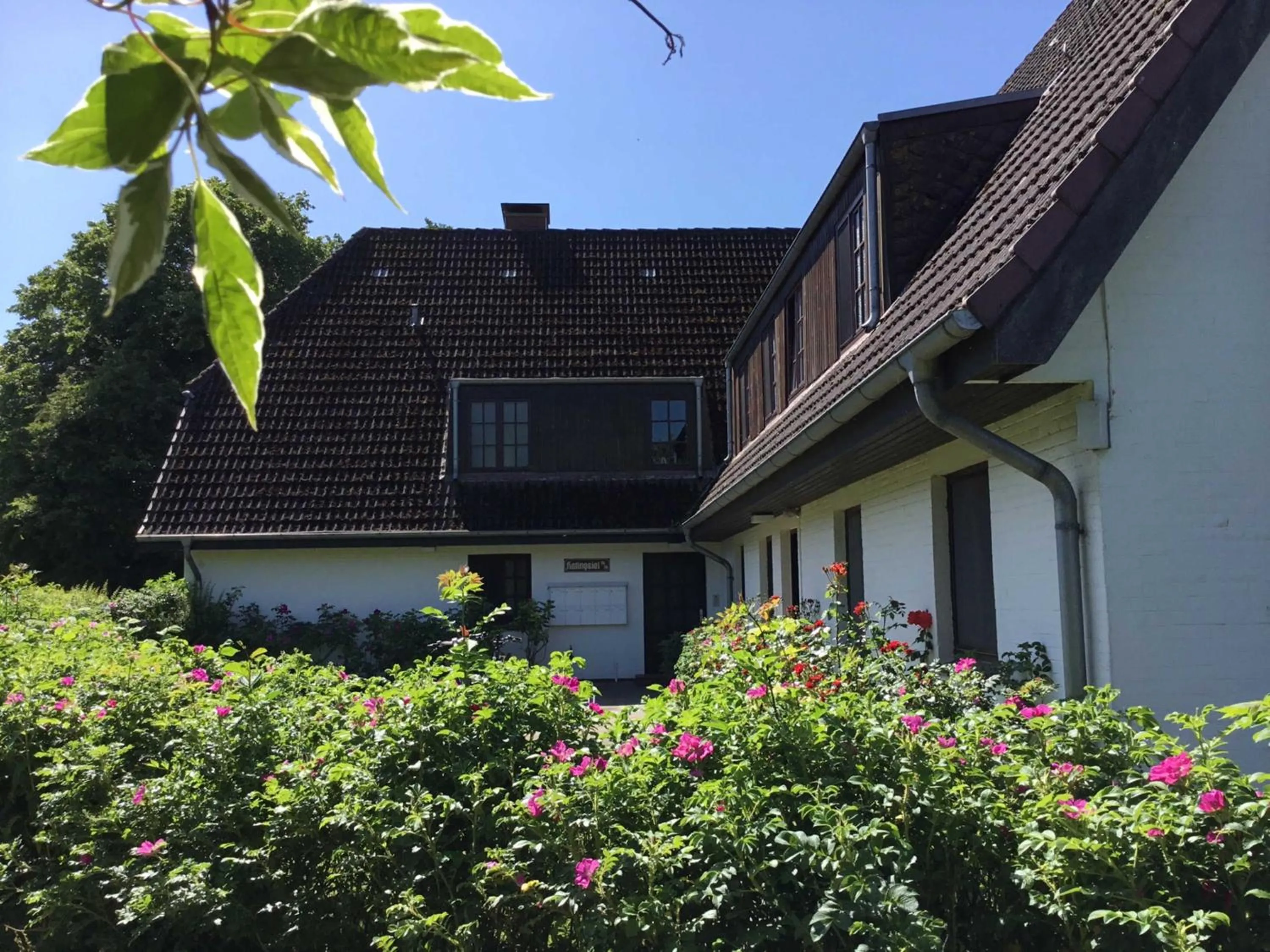 Seewolke Nr1 Nr2 Nr3 Katingsiel be