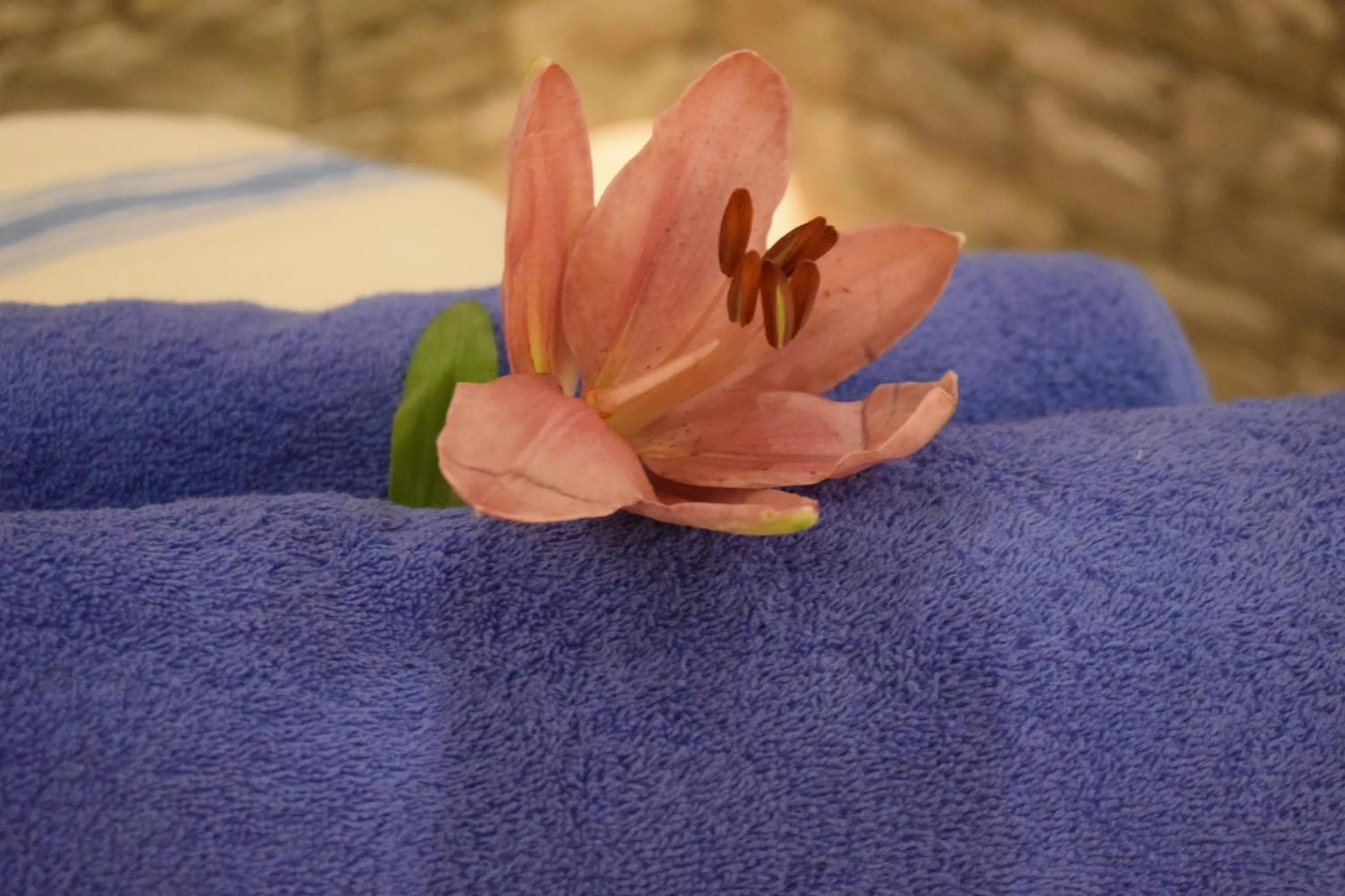 Spa and wellness centre/facilities in Myrtis Spa Hotel