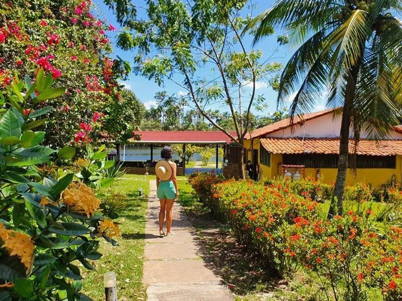 Garden view in Pousada Murici