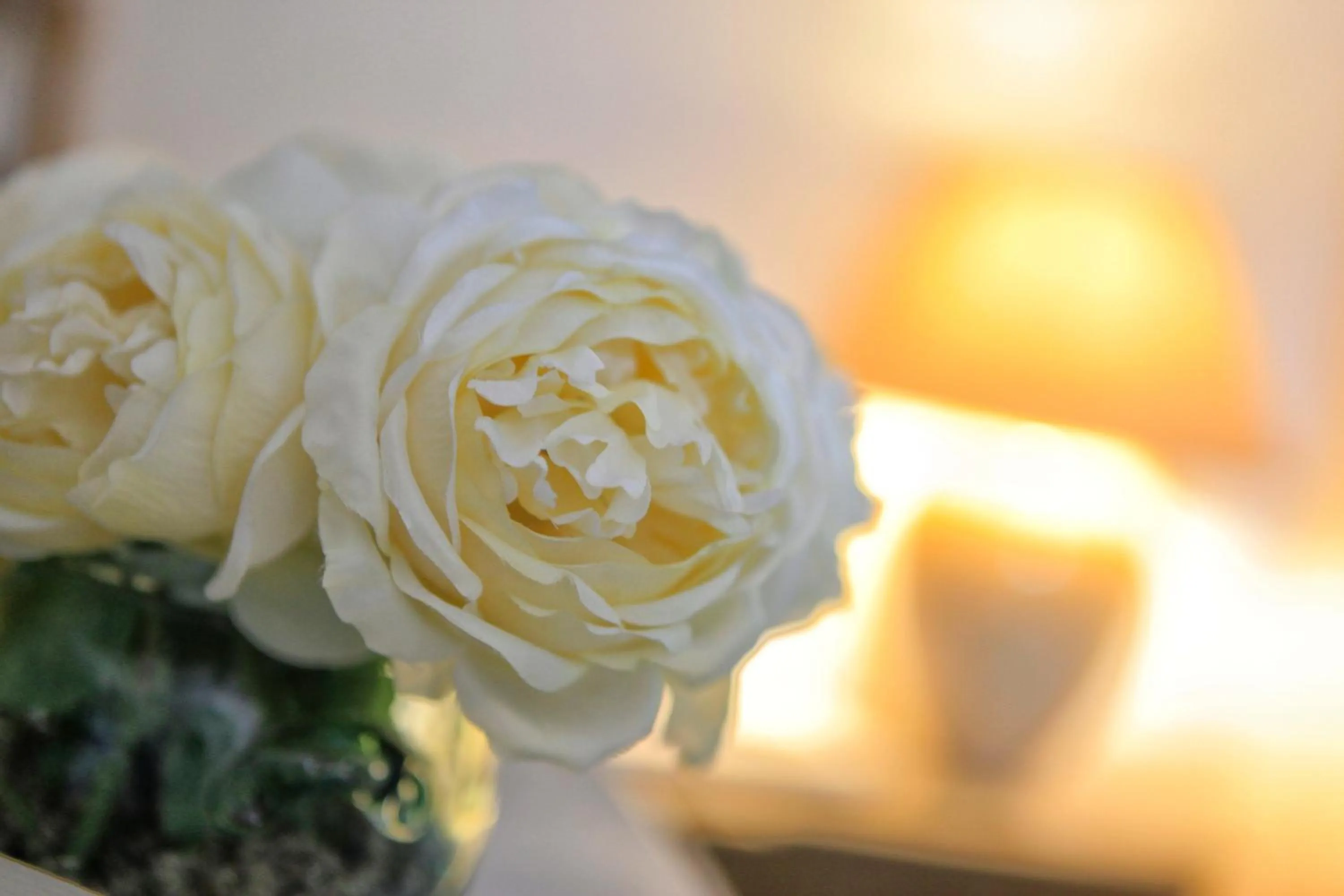 Decorative detail in Hotel Mistral