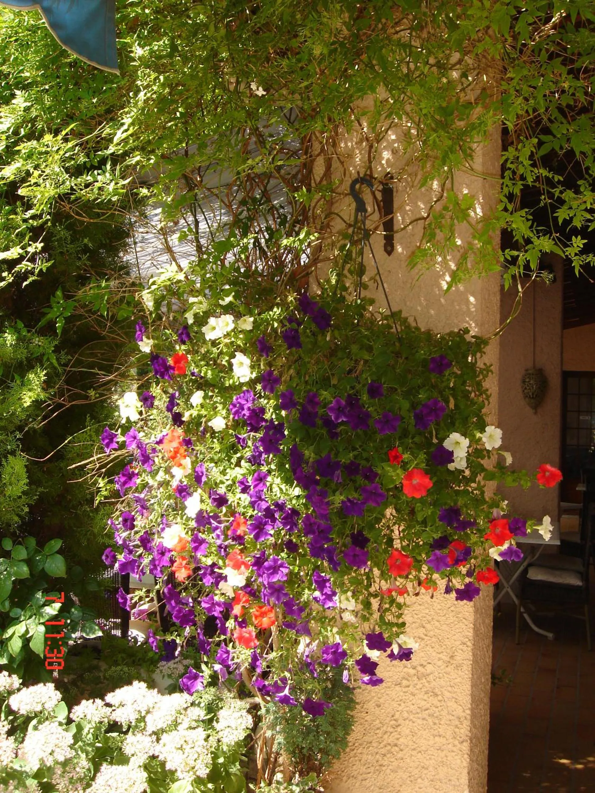 Garden in Hotel Mistral
