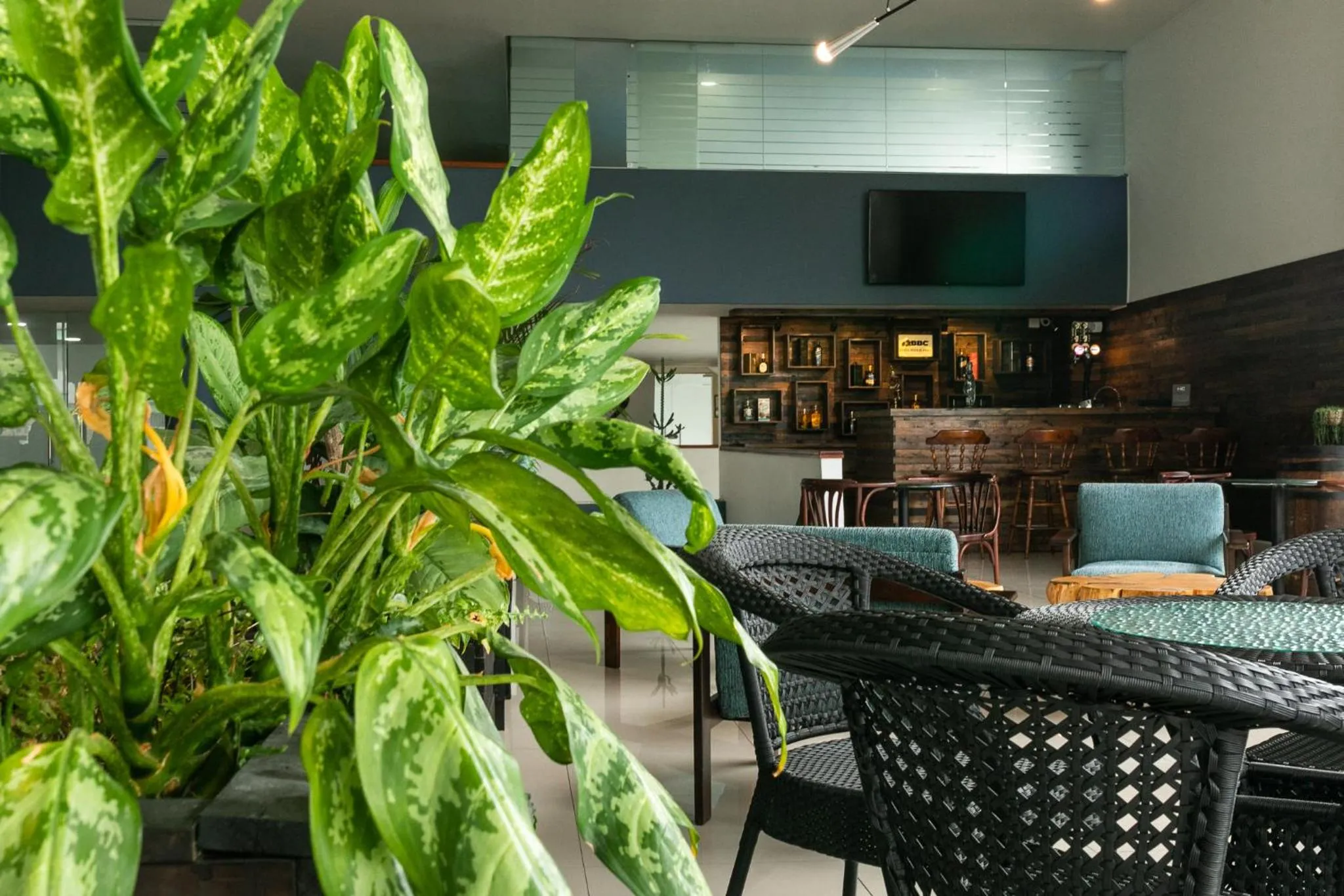 Lounge or bar in Hotel Carretero