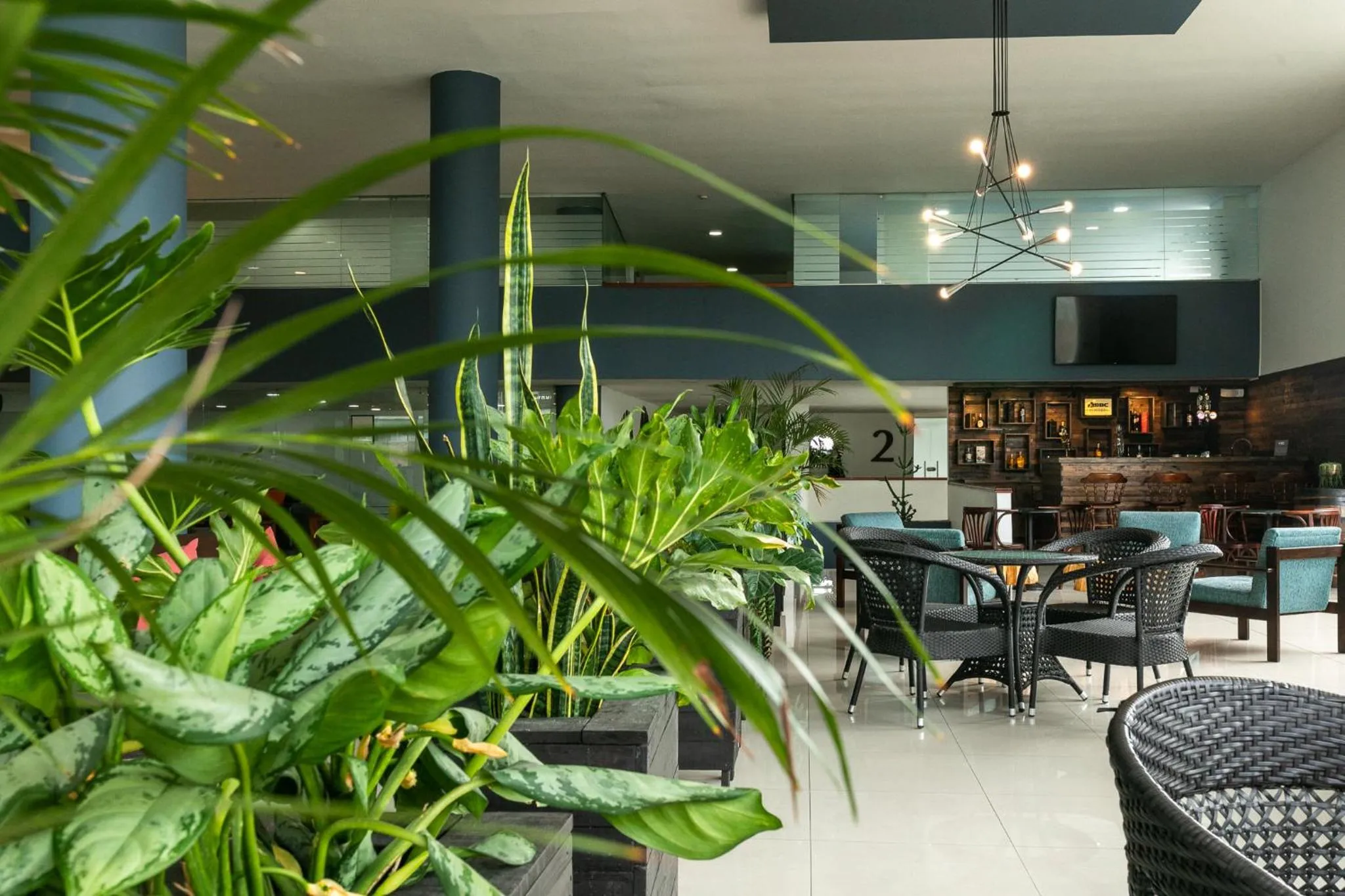 Lounge or bar in Hotel Carretero