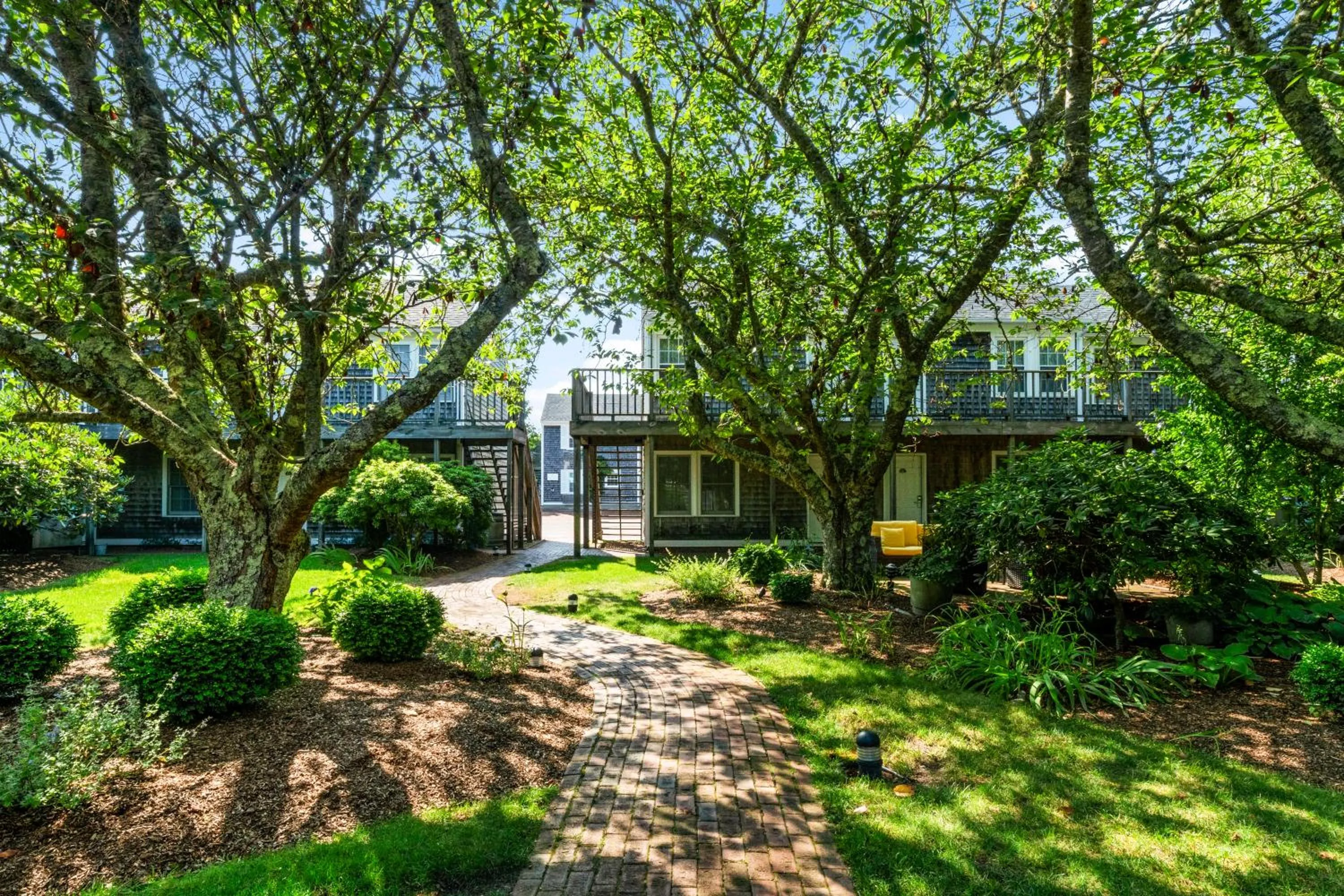 Natural landscape in Nantucket Inn