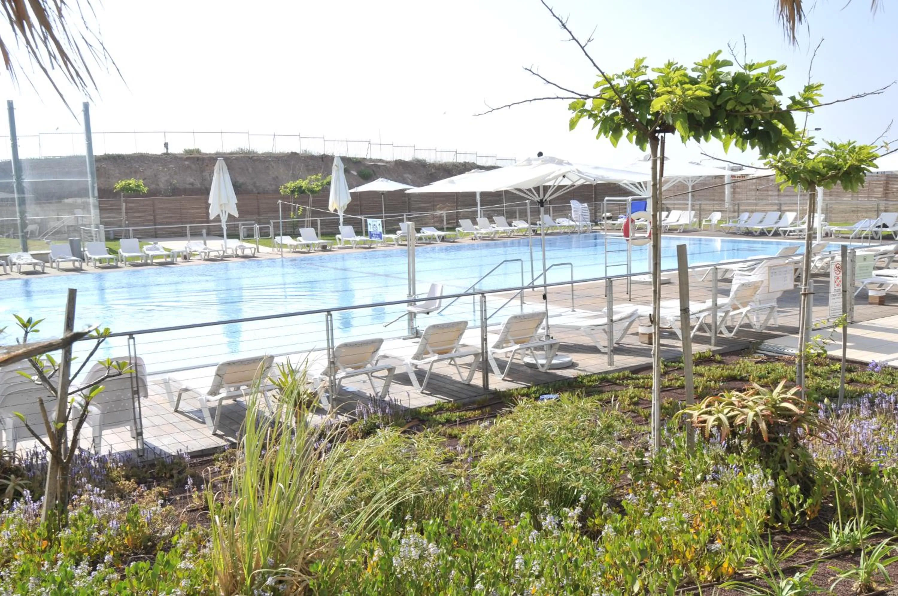 Property building in West Tel Aviv- All Suites Hotel By The Sea