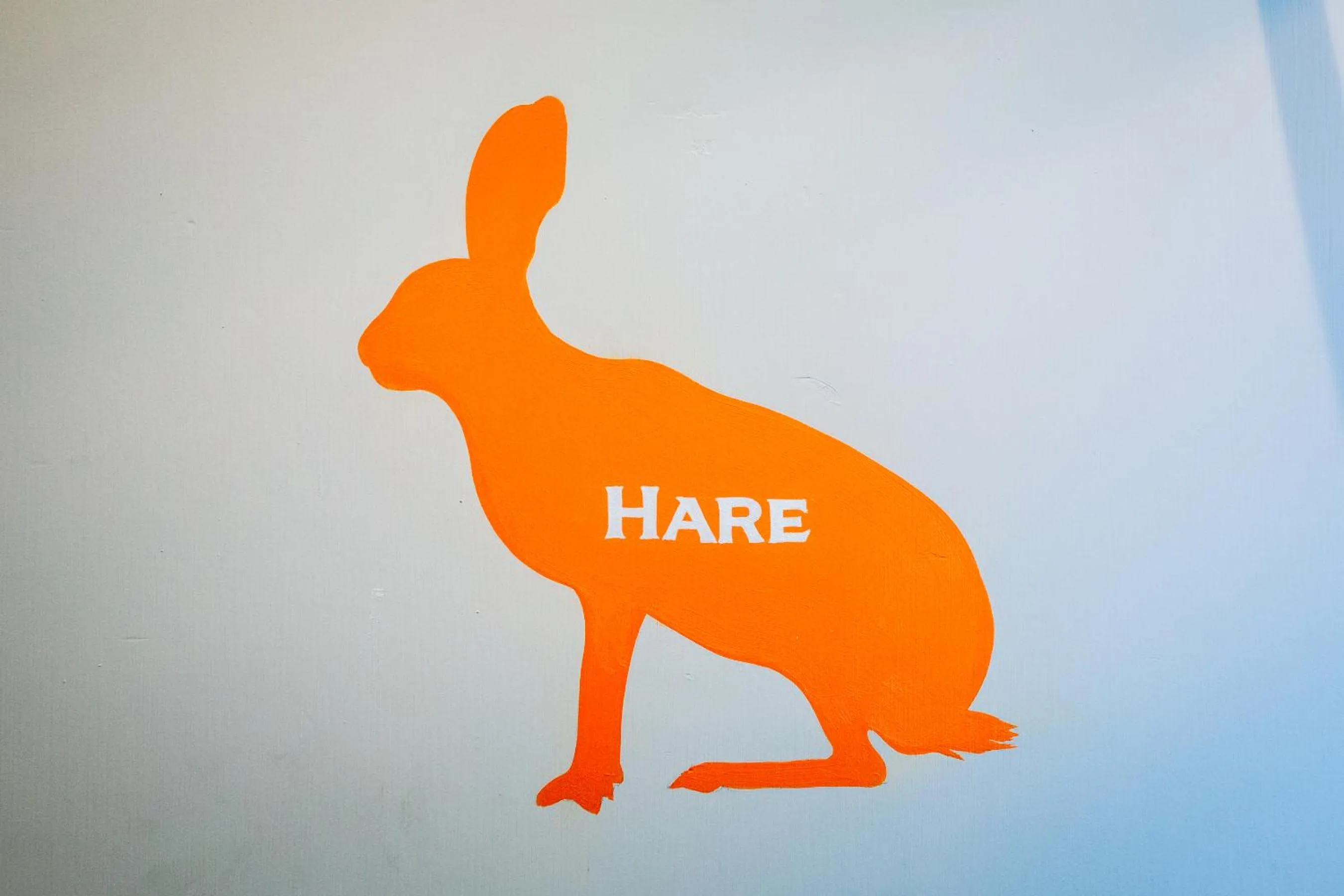 Decorative detail in Bampton Townhouse