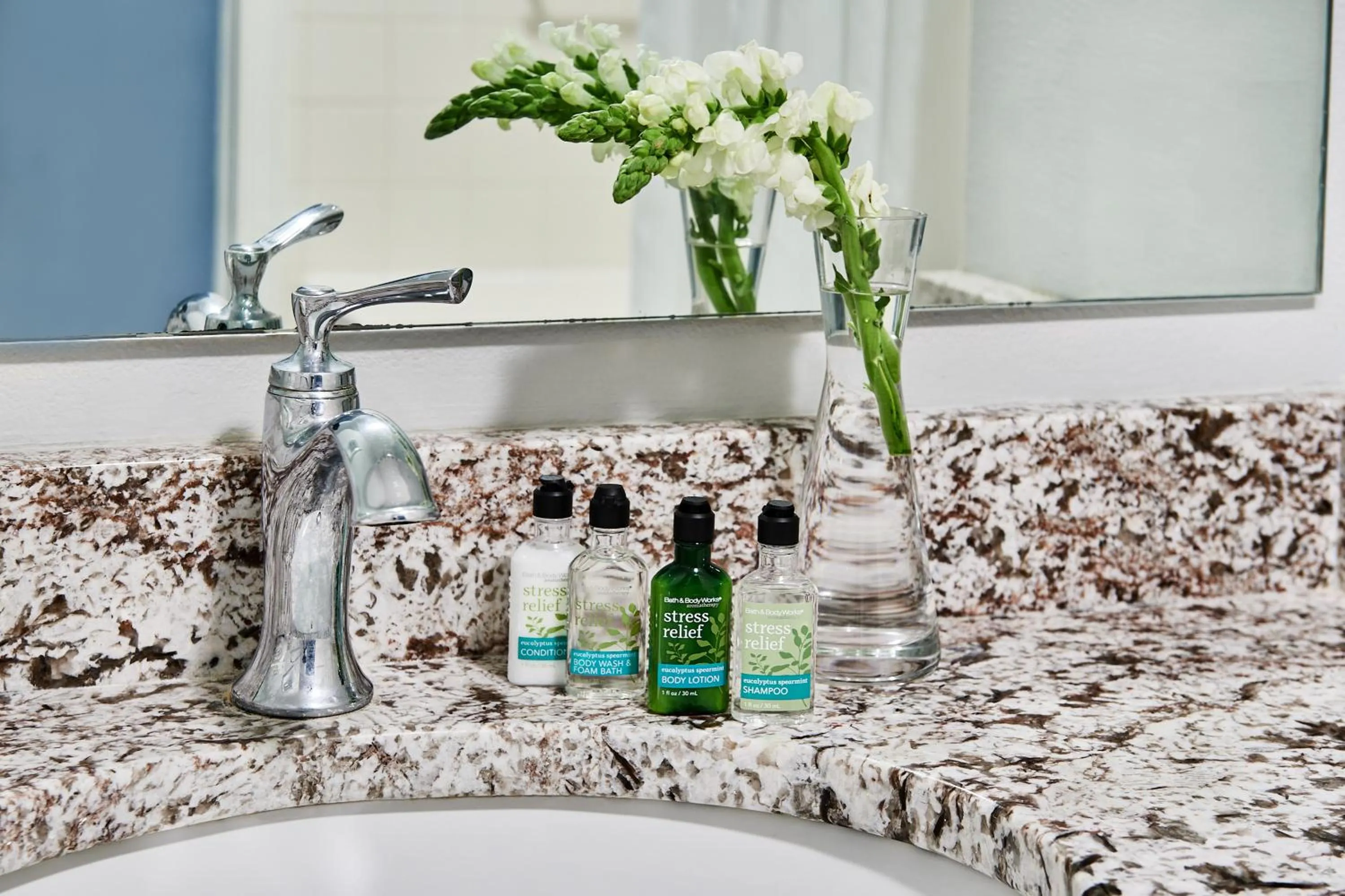 Bathroom in The Cove of Lake Geneva