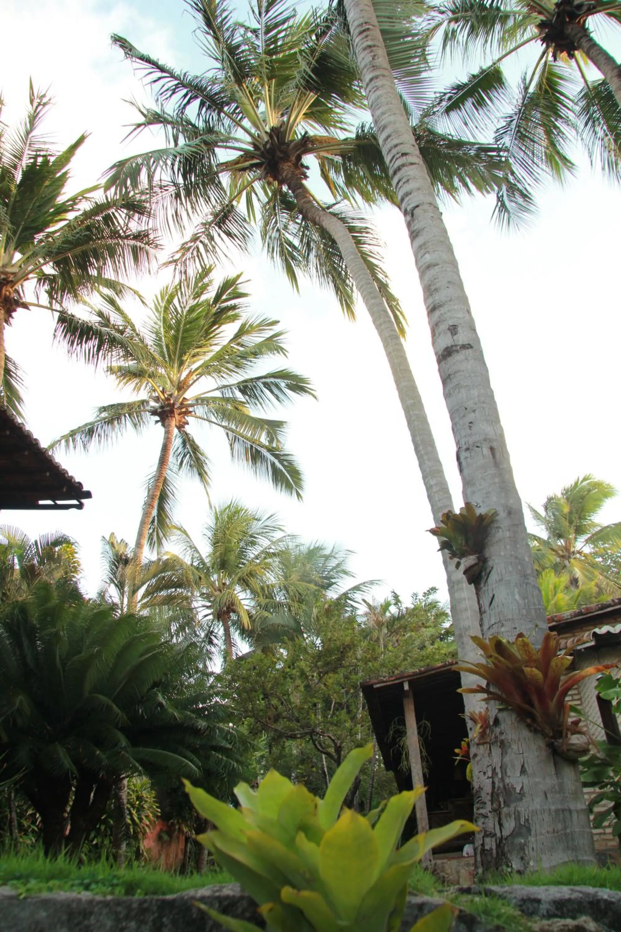 Sunrise in Pousada Oasis