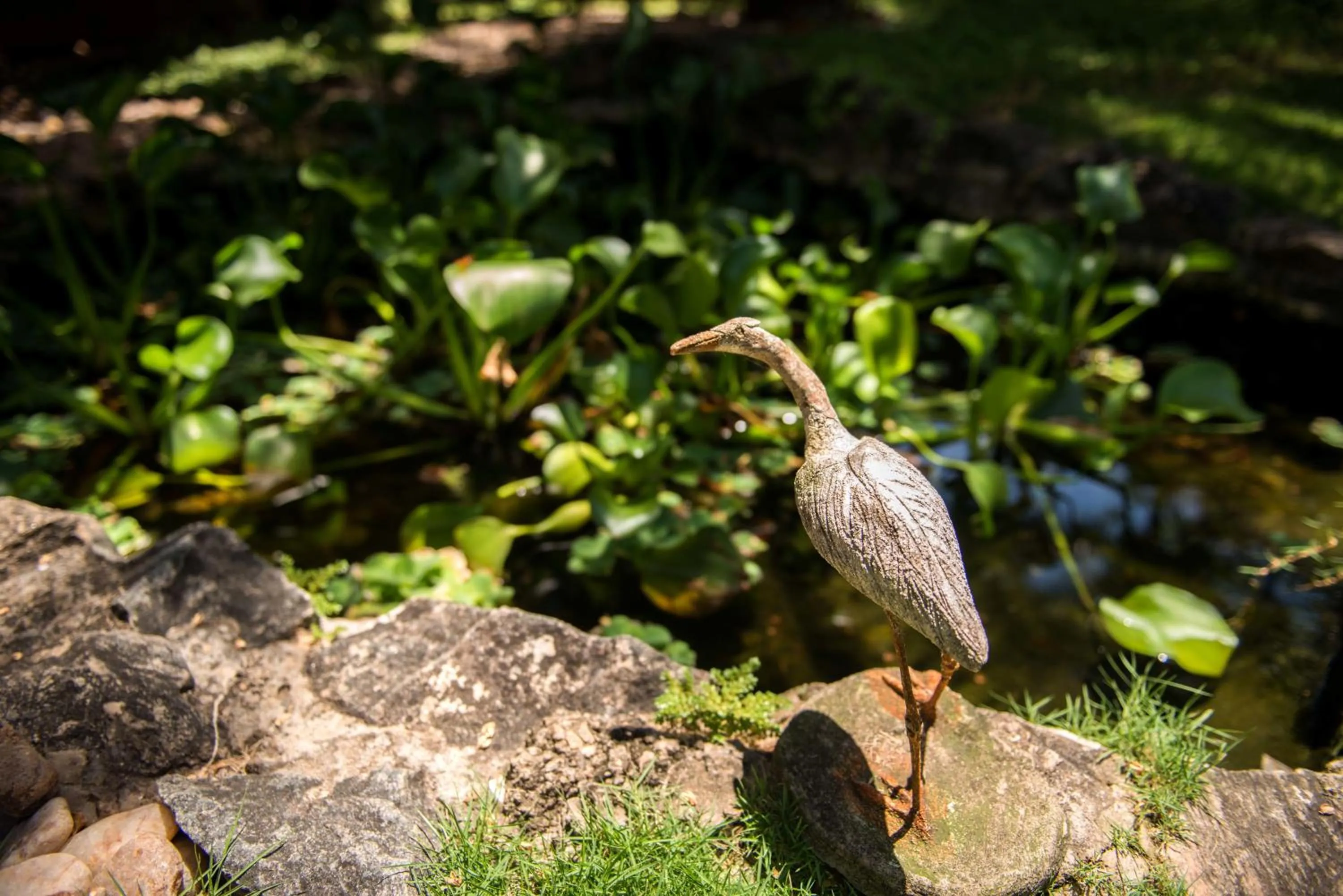 Other in Pousada Oasis