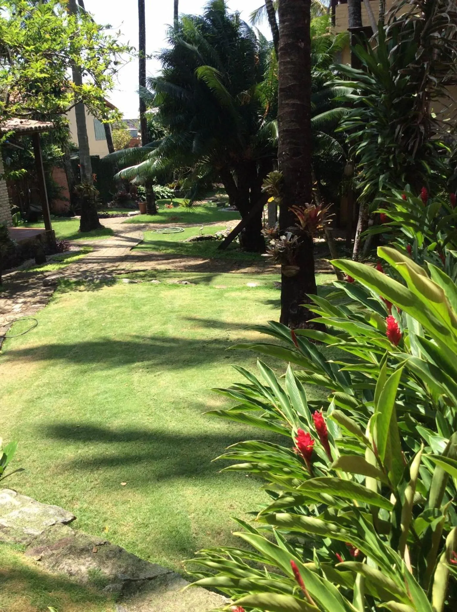 Garden in Pousada Oasis