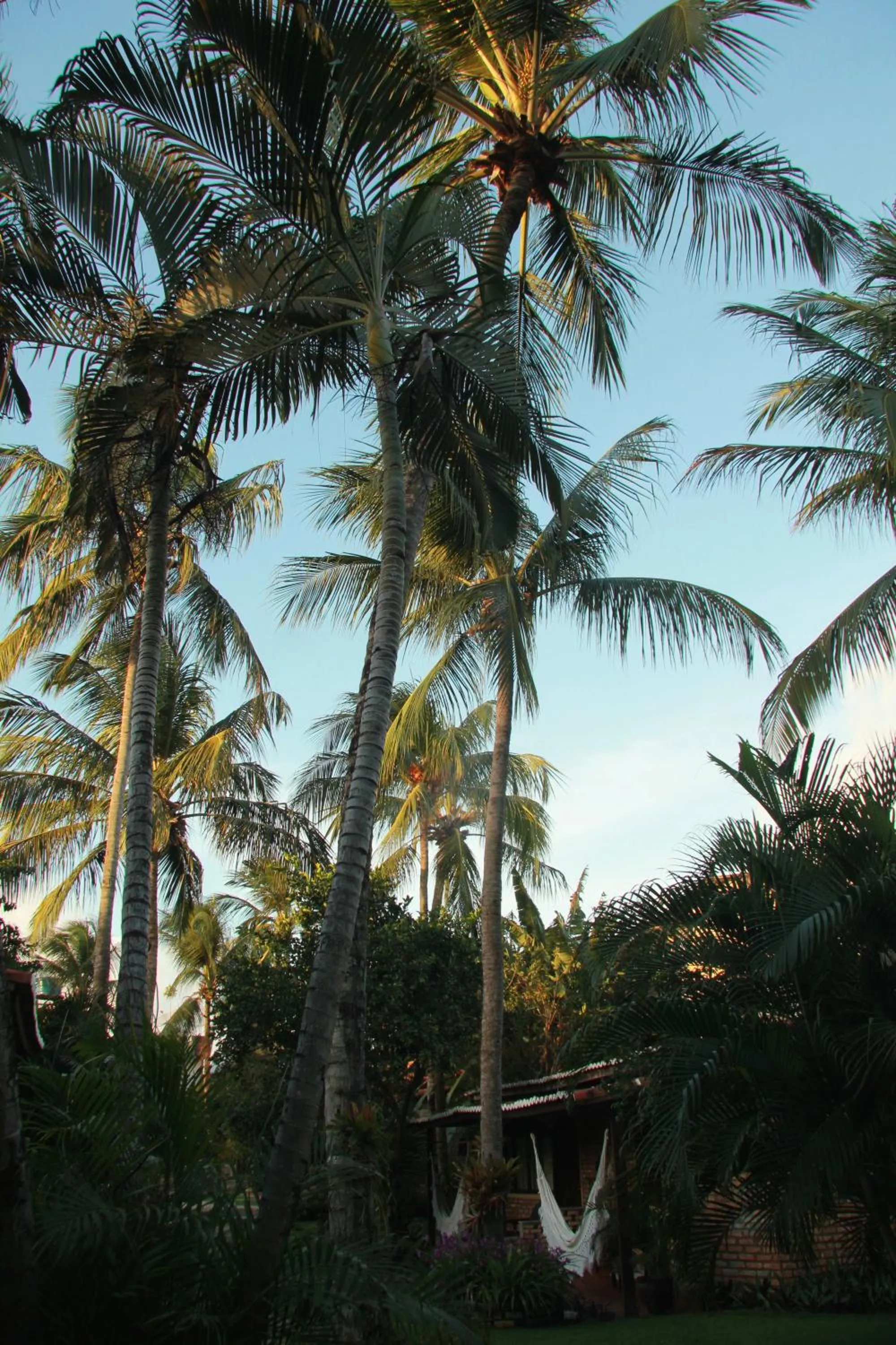 Sunrise in Pousada Oasis