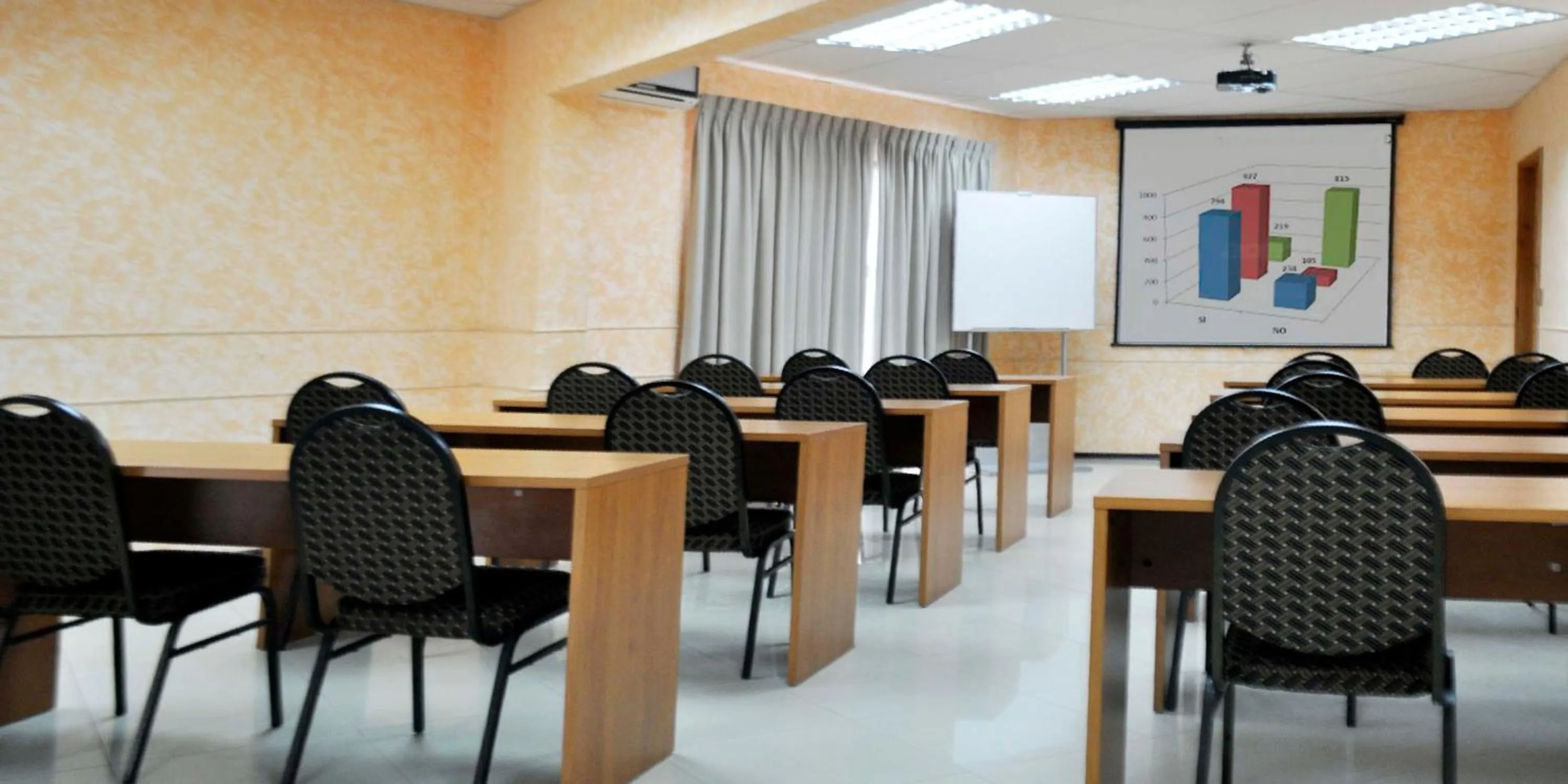 Business facilities in Hotel Serena Suite