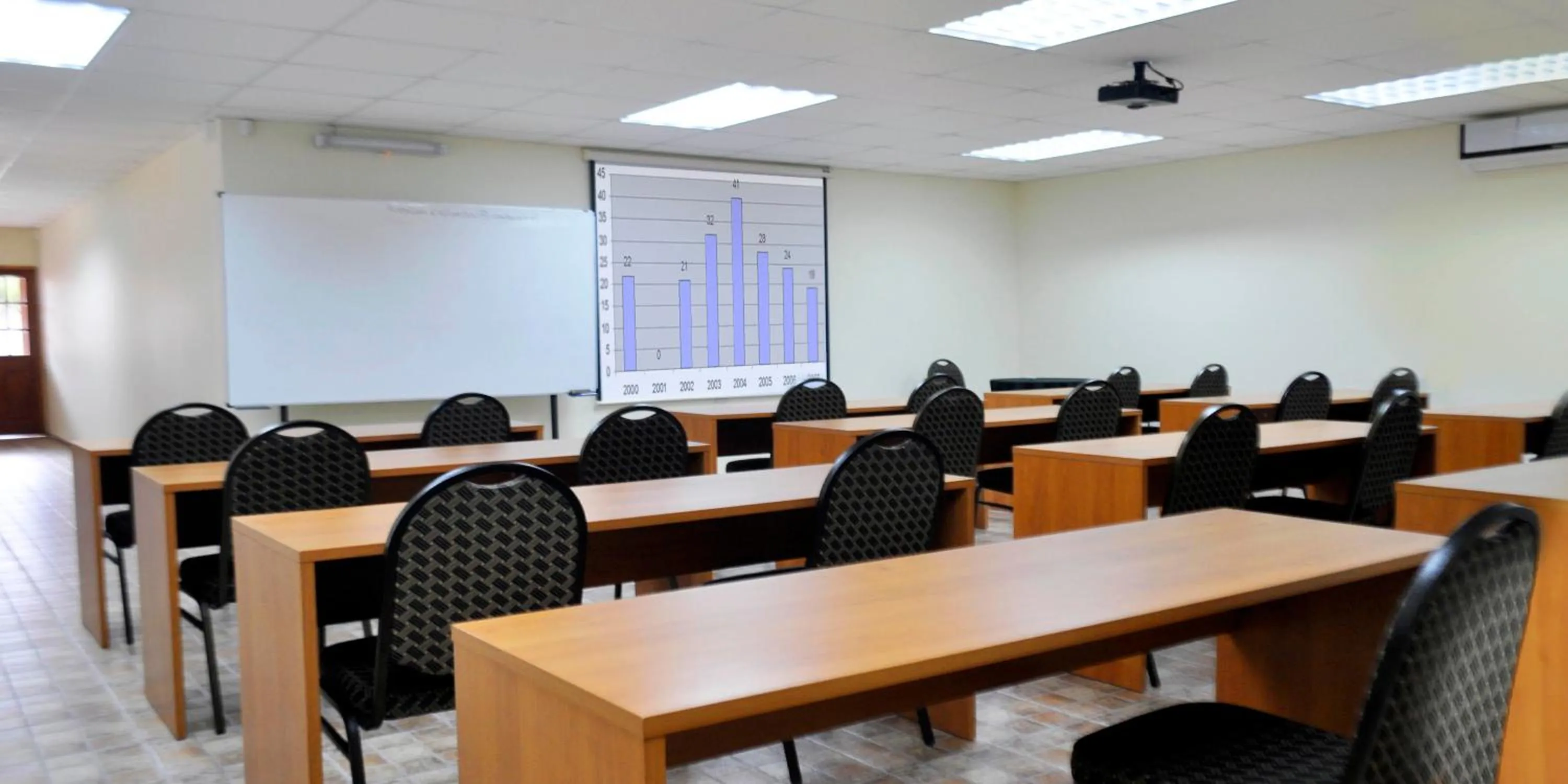 Business facilities in Hotel Serena Suite