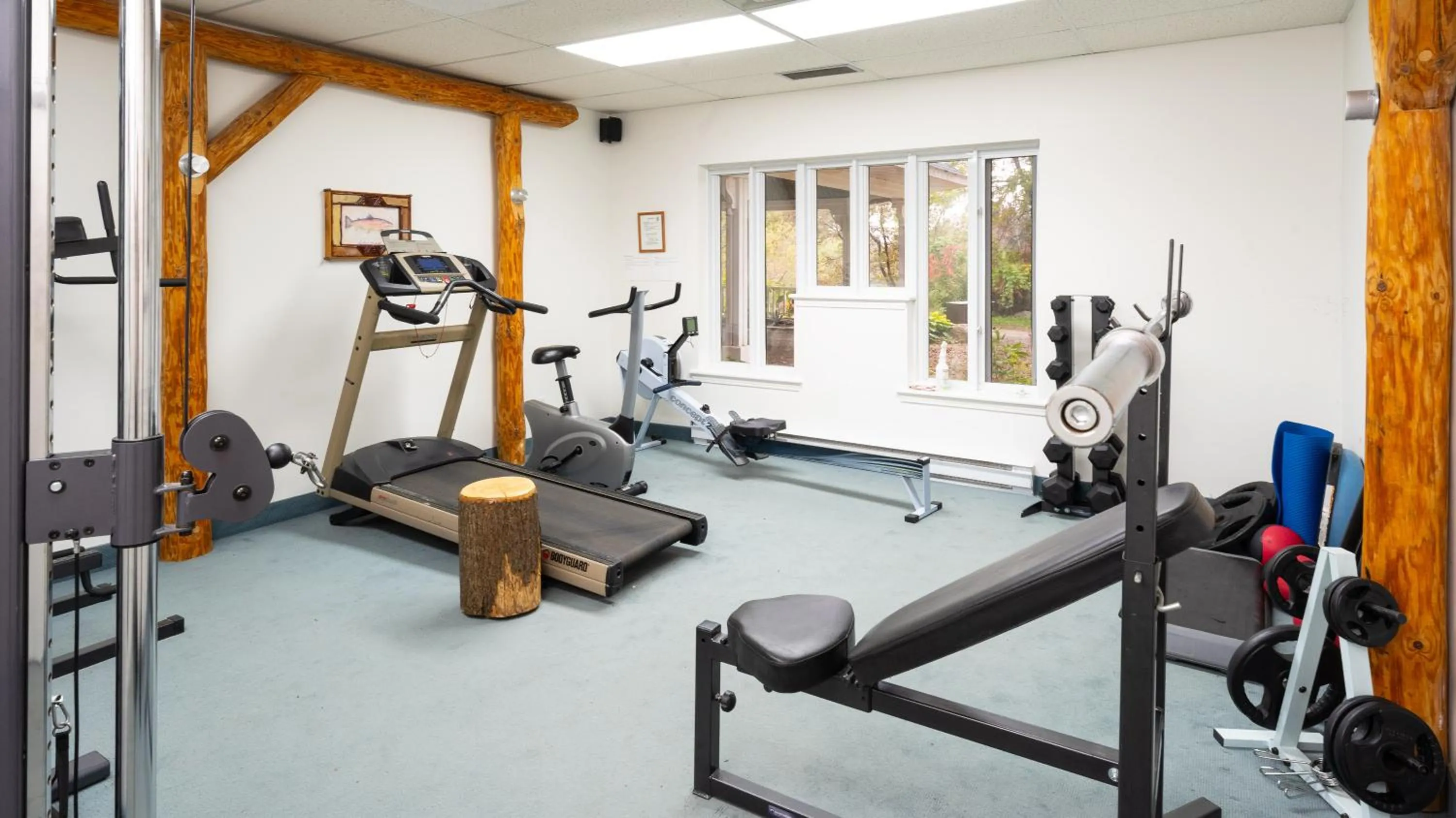 Activities in Le Baluchon Éco-villégiature