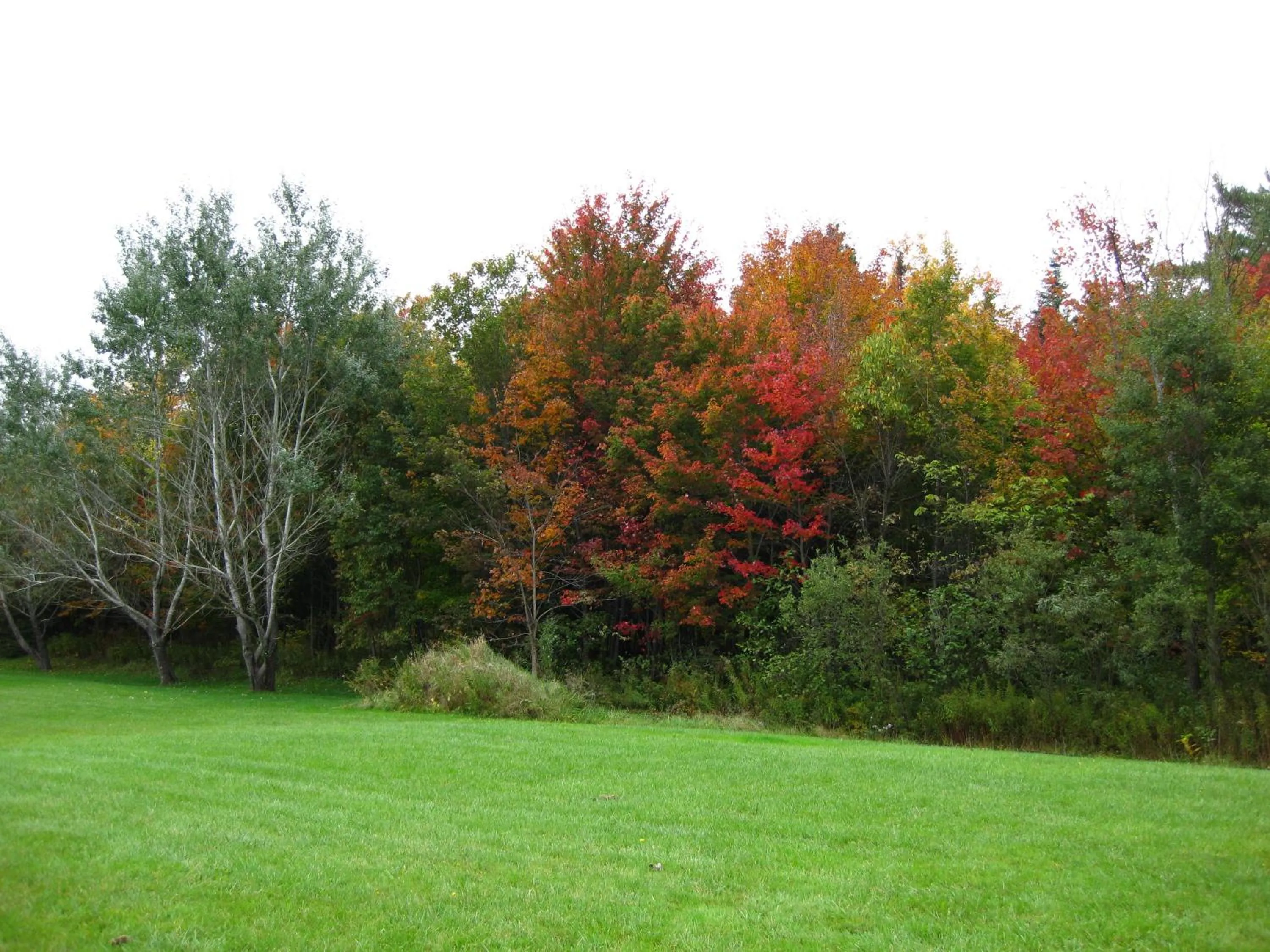 Area and facilities in Motel de la Pente Douce