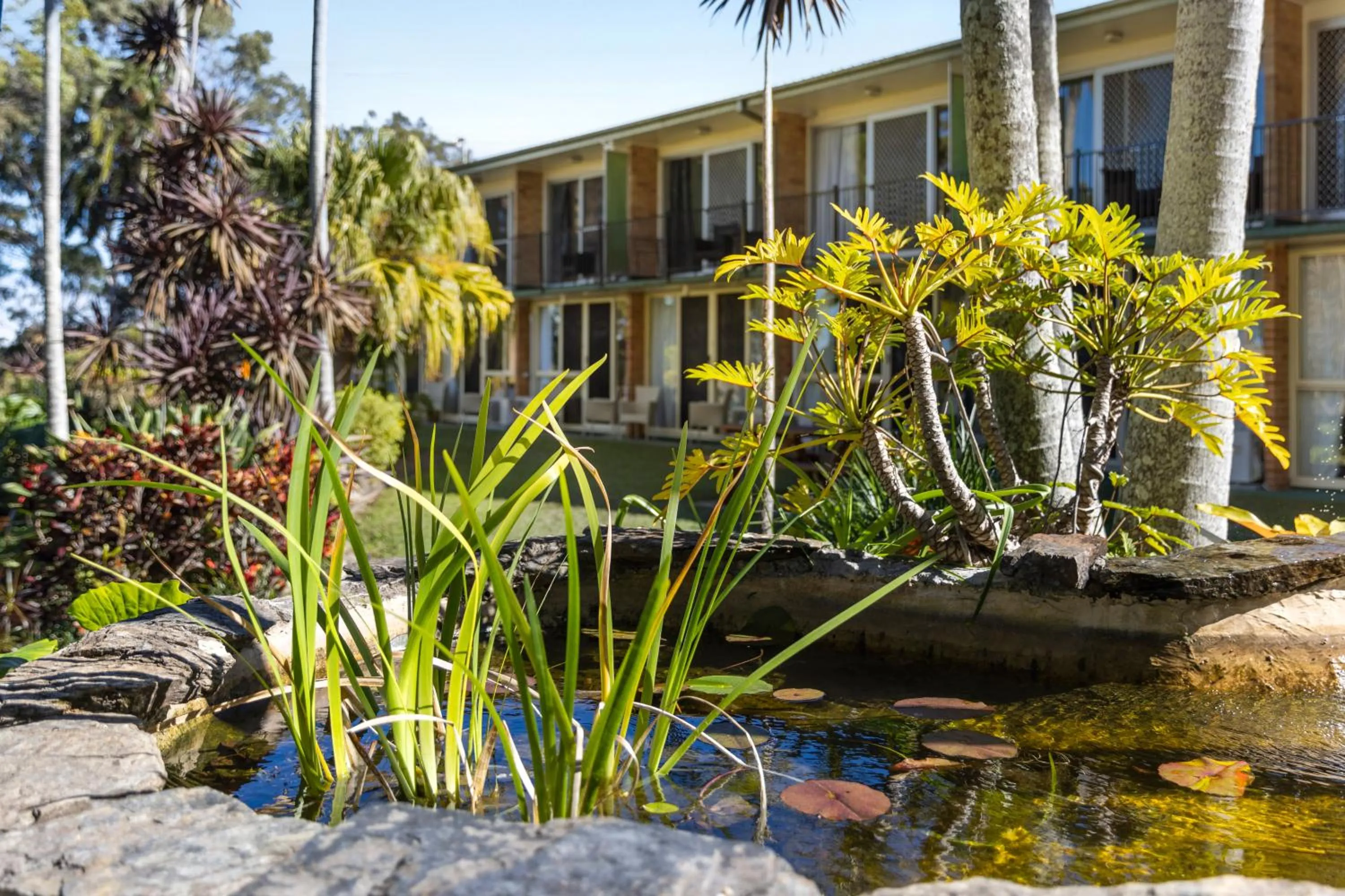 Garden in Motel Miramar